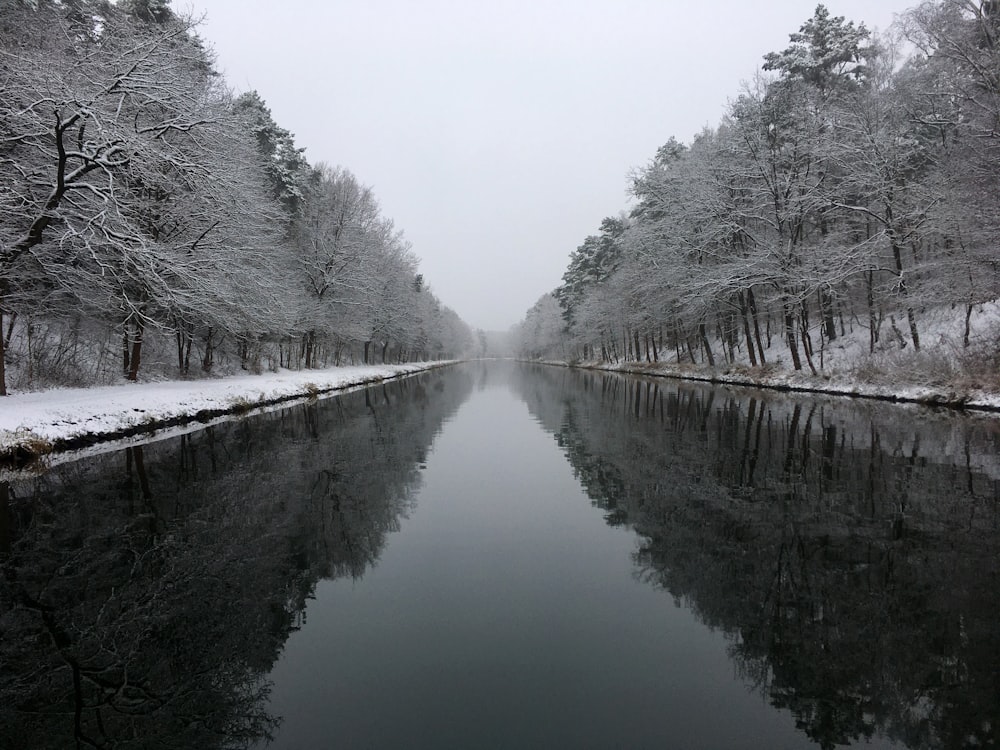 a body of water with snow on the side and trees around it