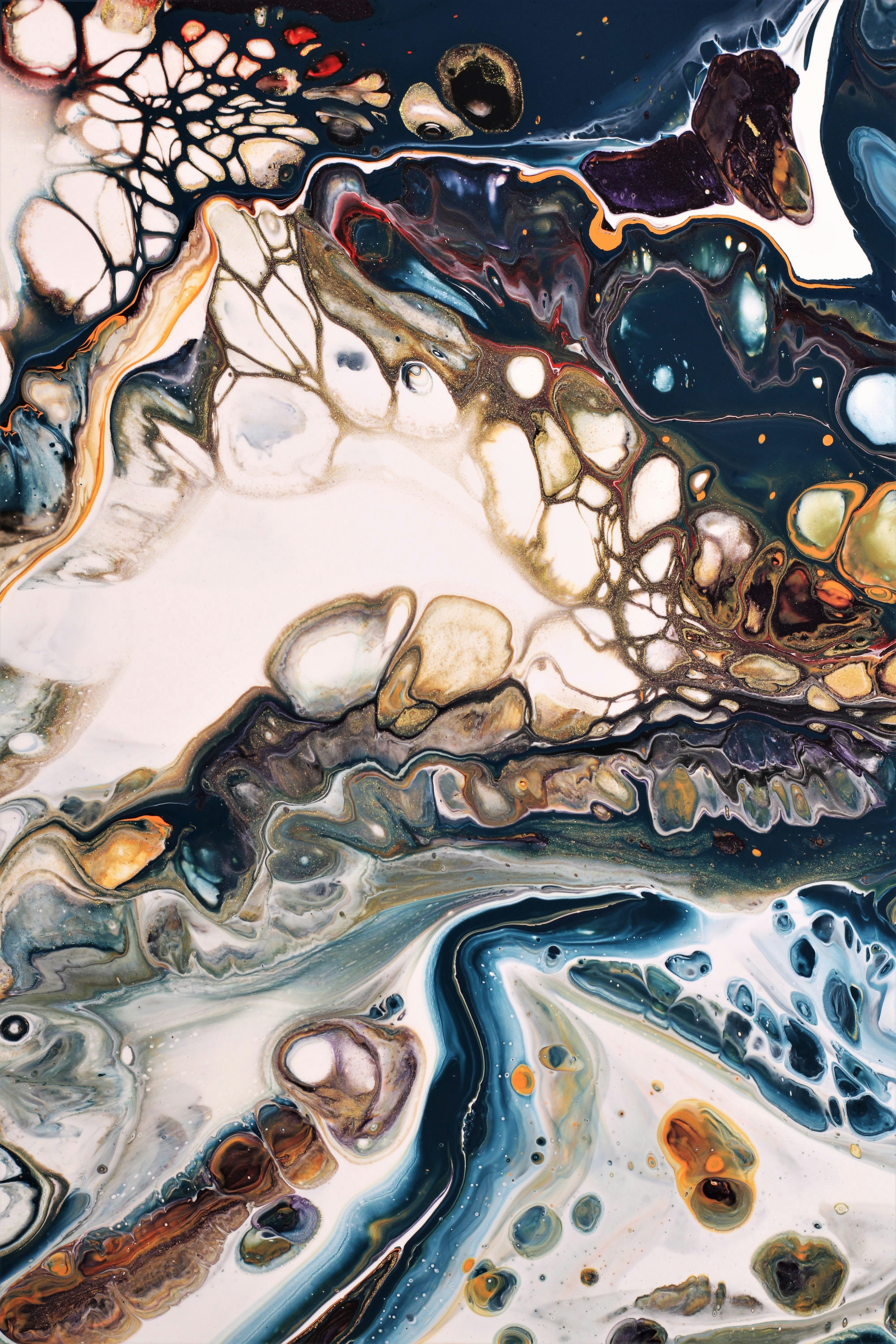 Photo by susan_wilkinson