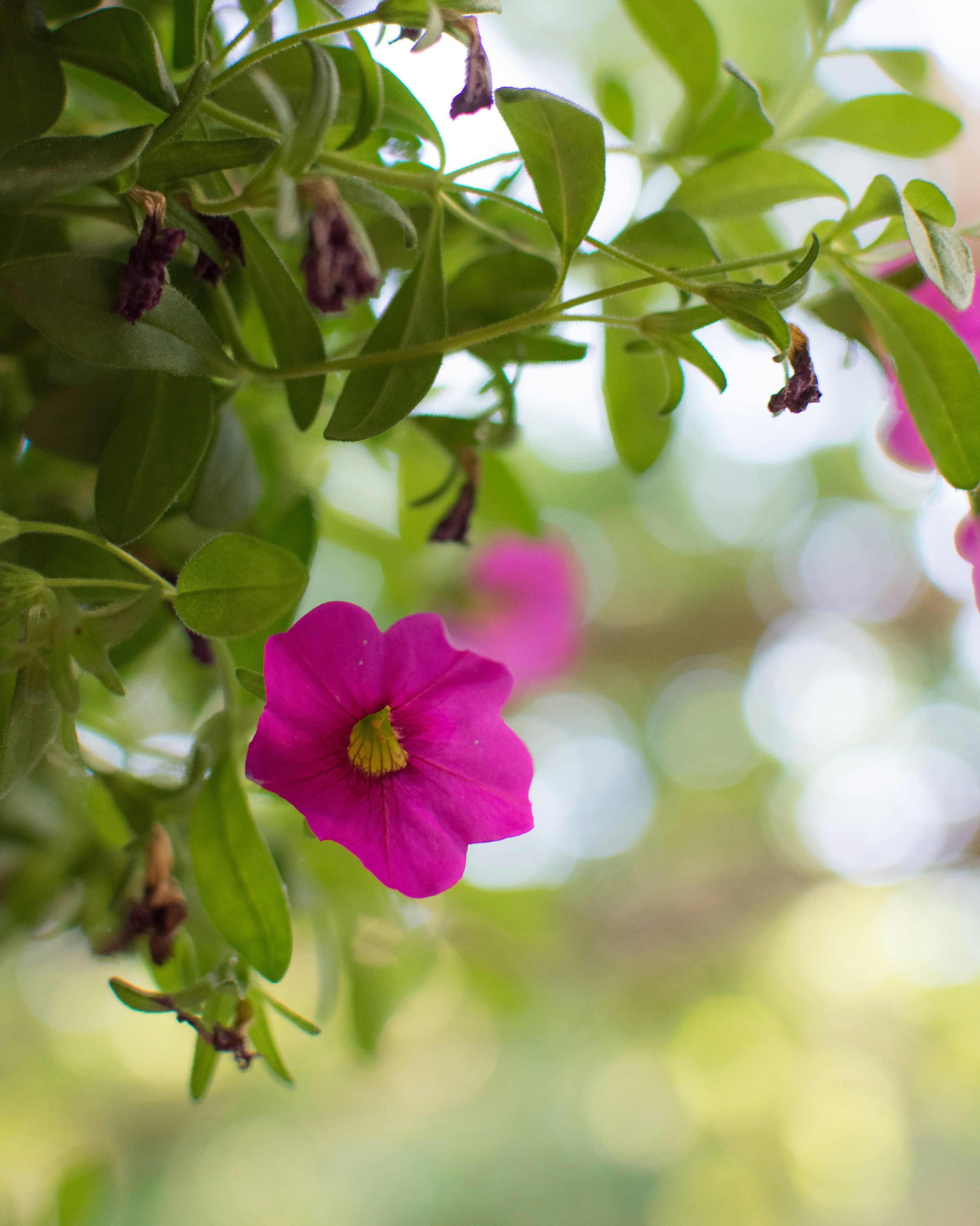 Photo by abbeyphotography