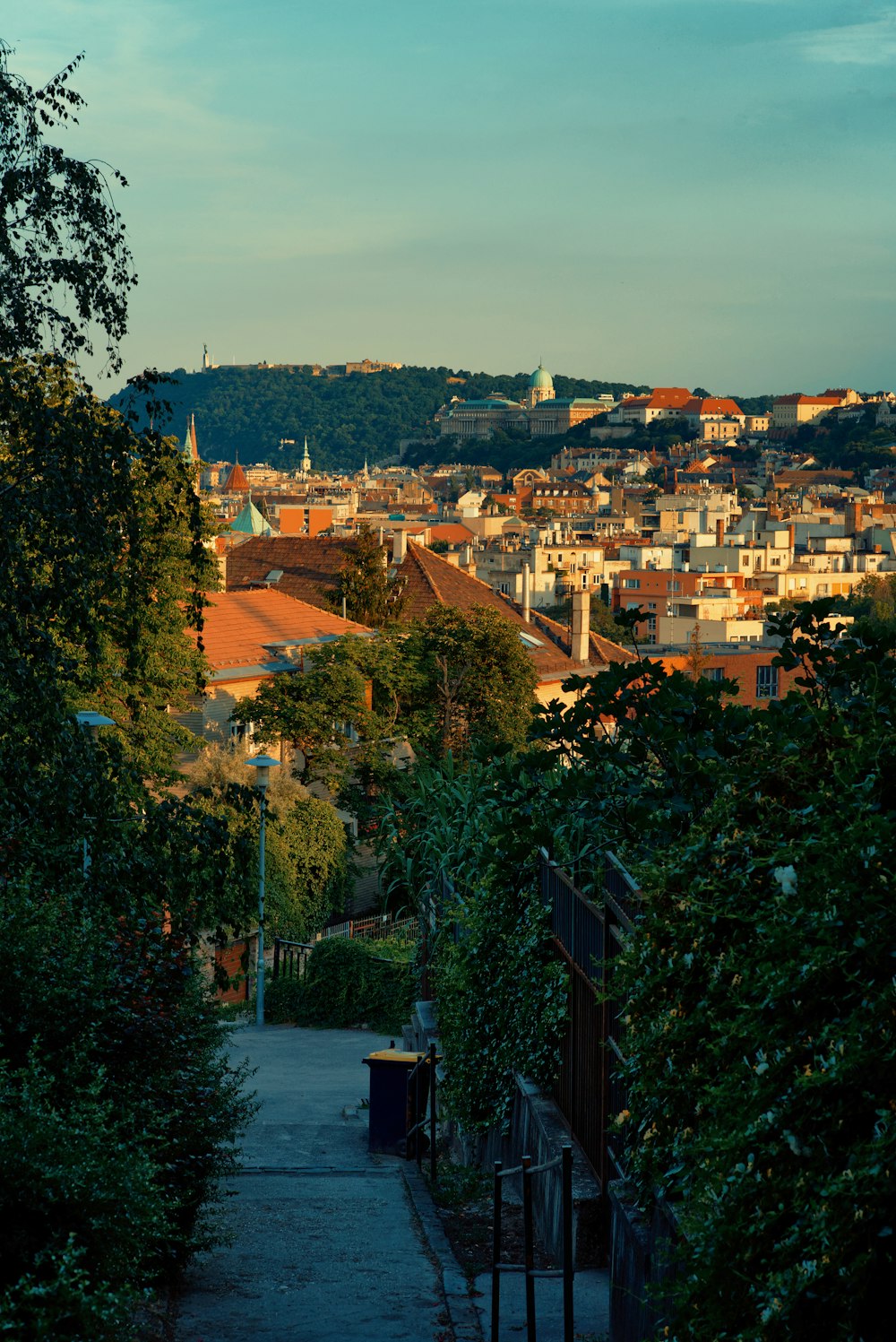 a path leading to a city