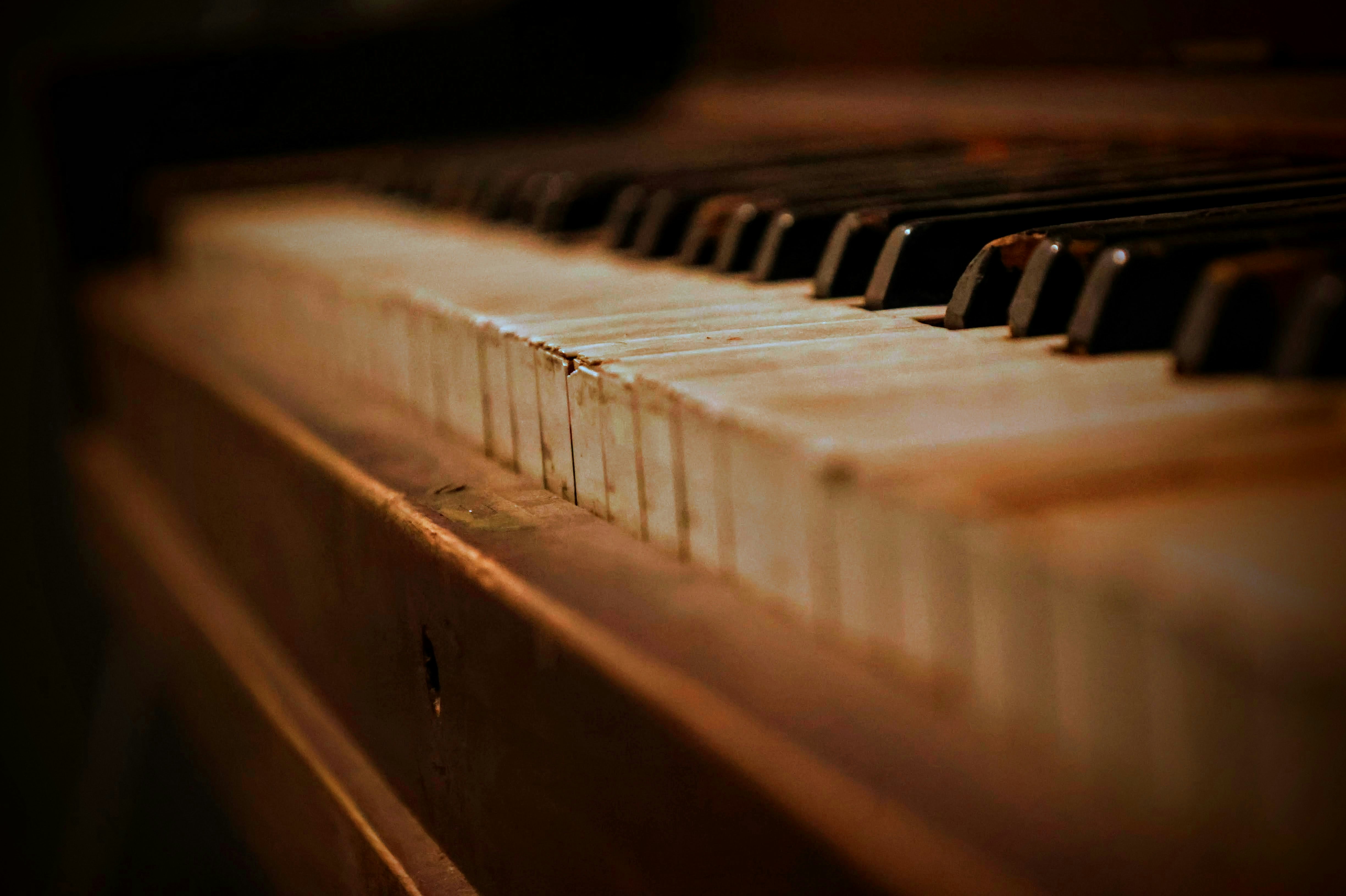 Photo by joshua_hoehne