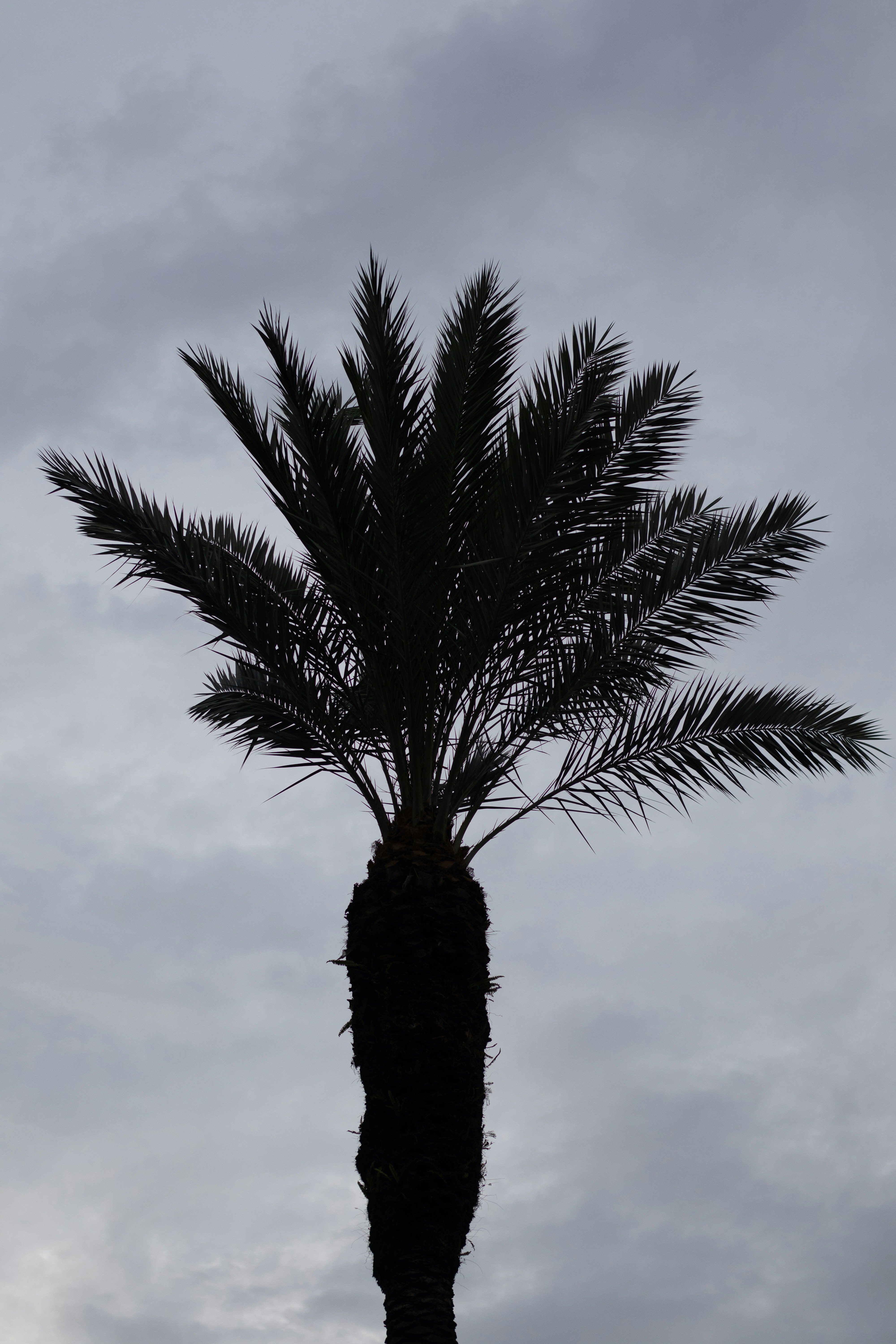 Photo by jdphotography