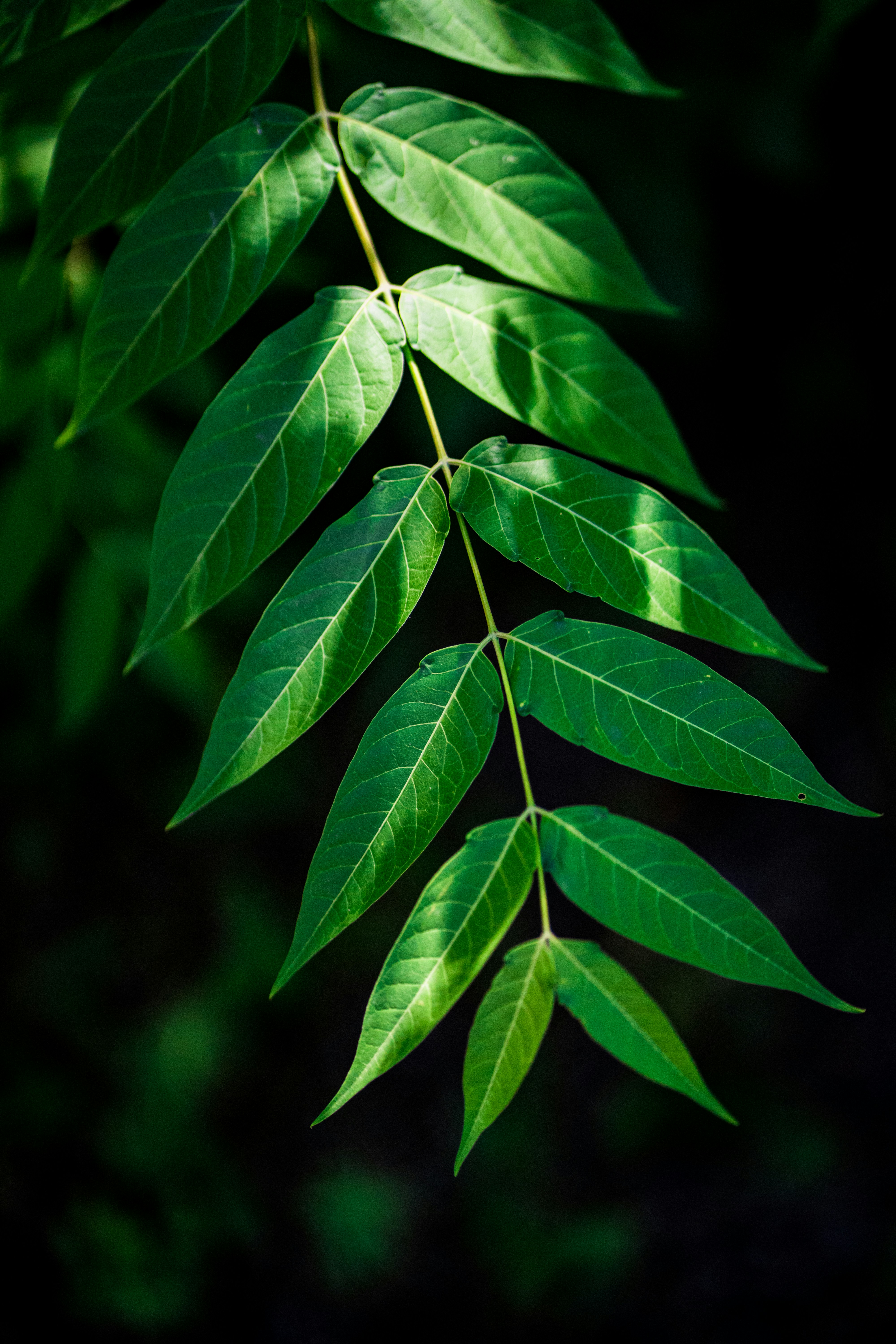 Photo by abhinav1bhardwaj