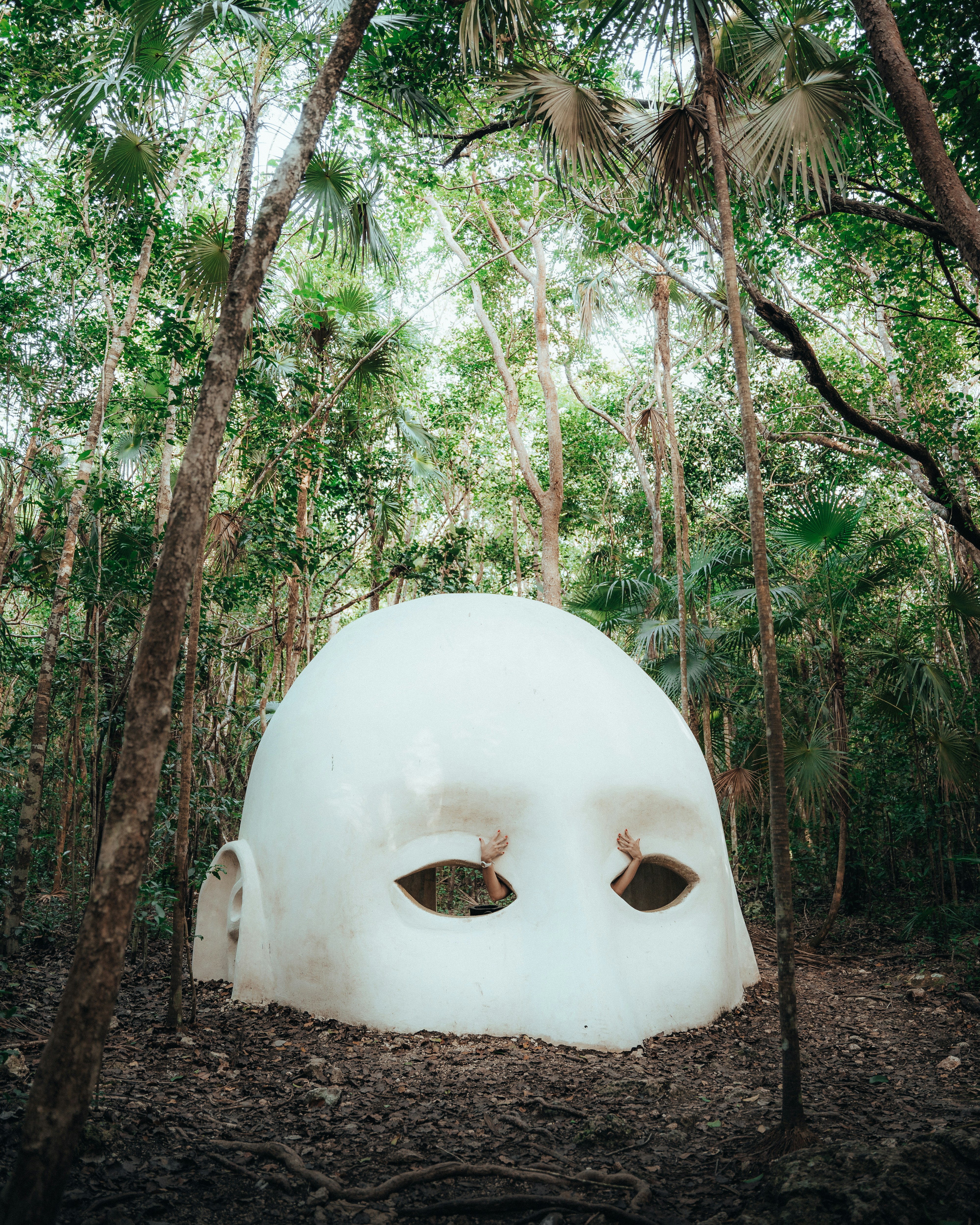 The Sydney and Walda Besthoff Sculpture Garden