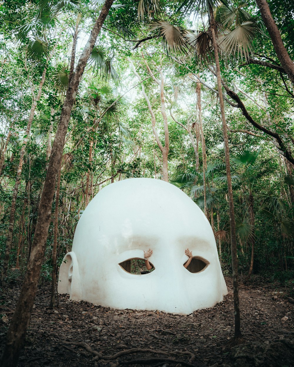 a white spherical object surrounded by trees