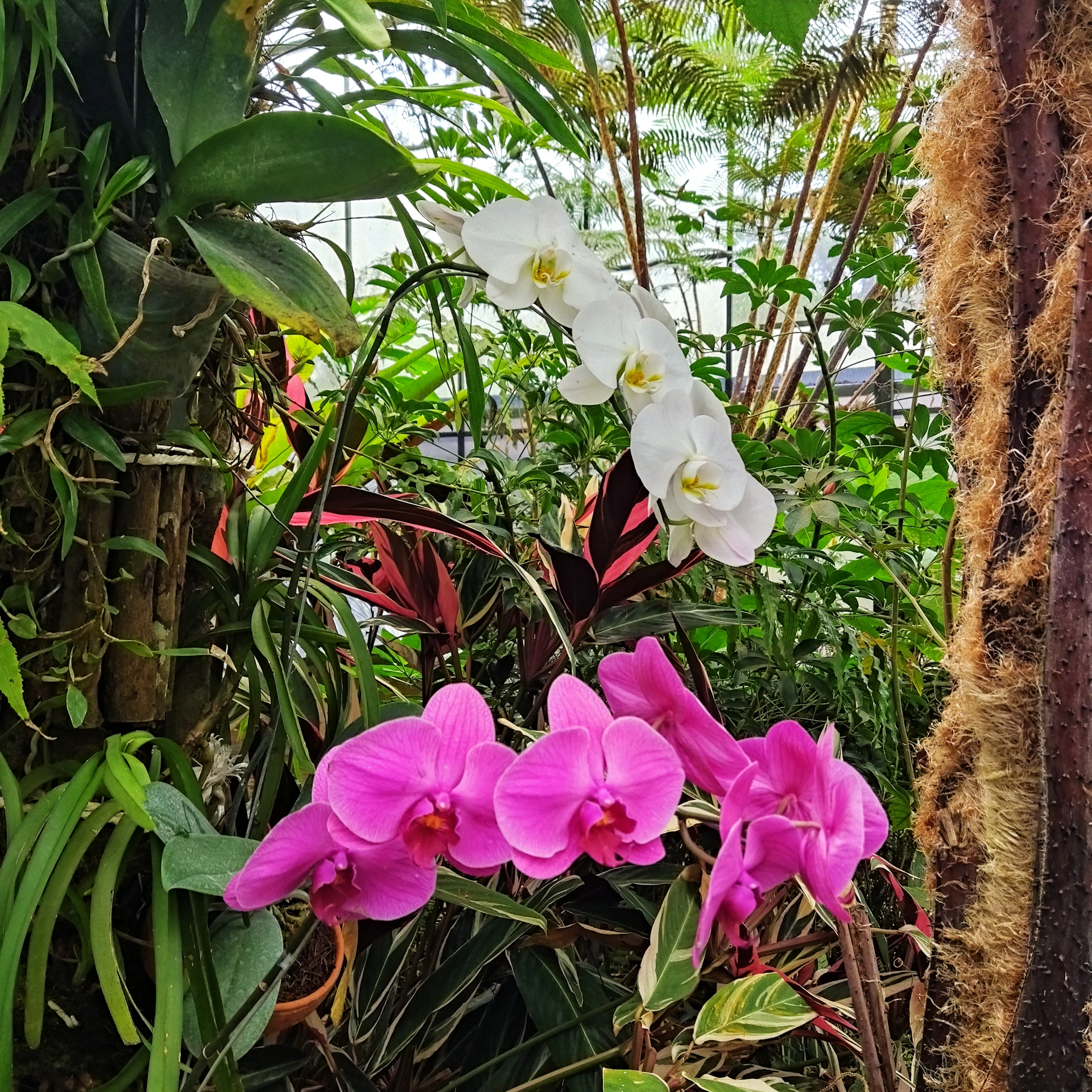 black and brown leather padded tub sofa