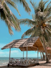 A cozy beach hut surrounded by lush tropical greenery with the ocean visible in the background.