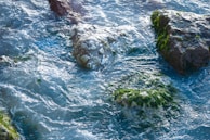 Clear water flows over rocks partially covered in bright green algae, giving a sense of movement and natural beauty.
