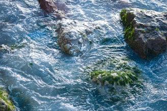 Clear water flows over rocks partially covered in bright green algae, giving a sense of movement and natural beauty.