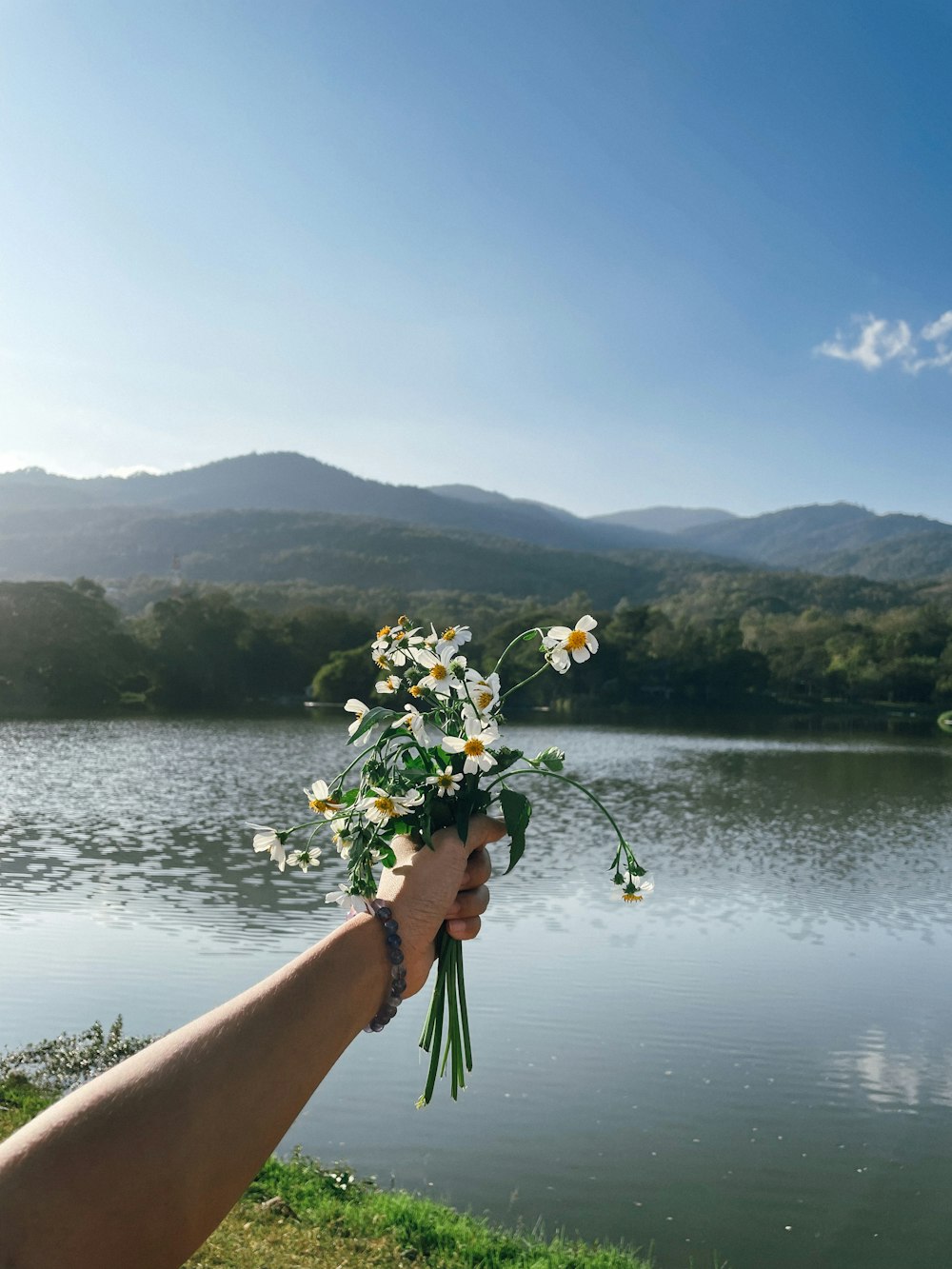 a hand holding flowers by a lake