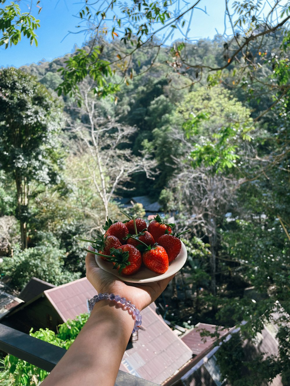 a person holding a bowl of strawberries
