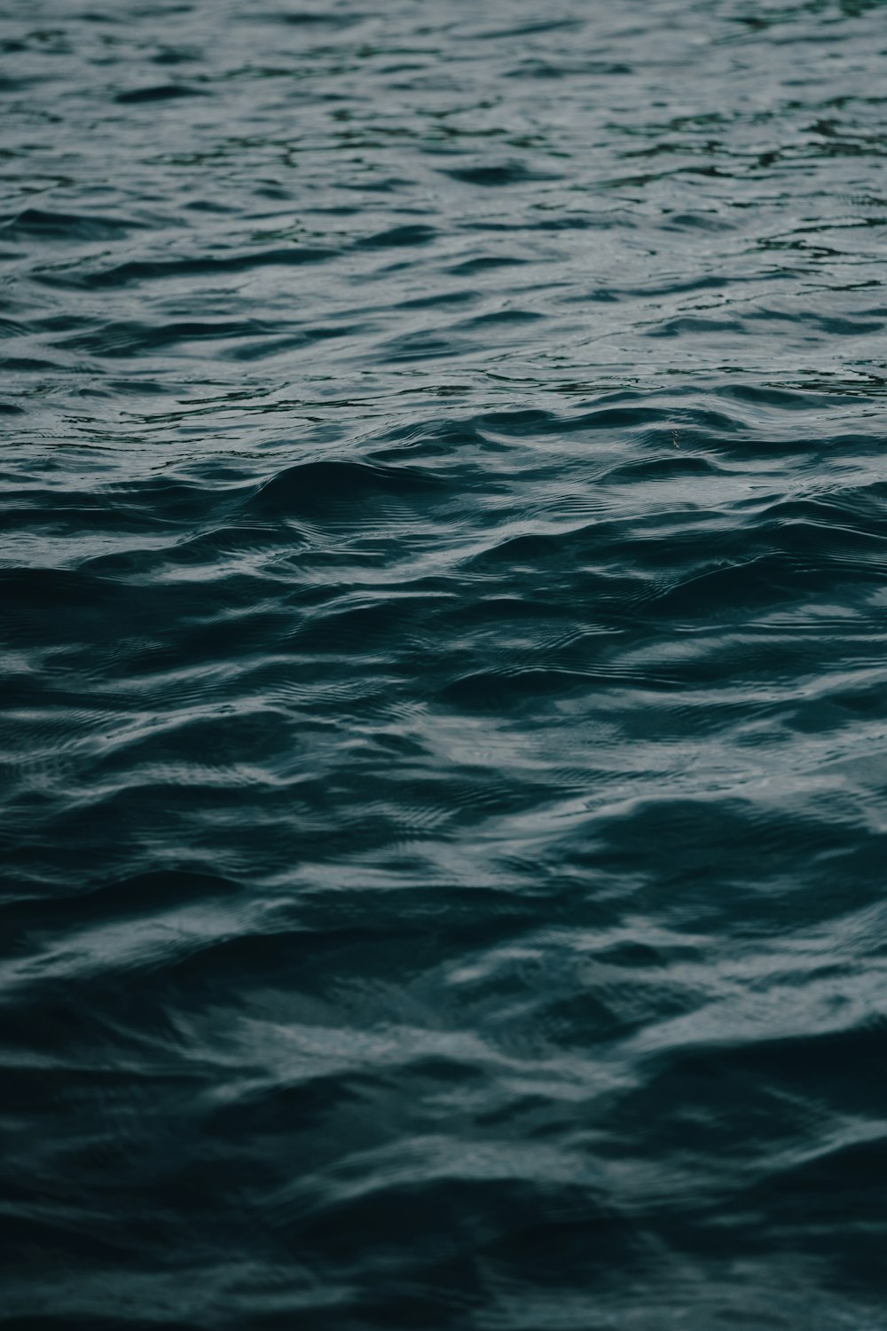 a body of water with a rock in it