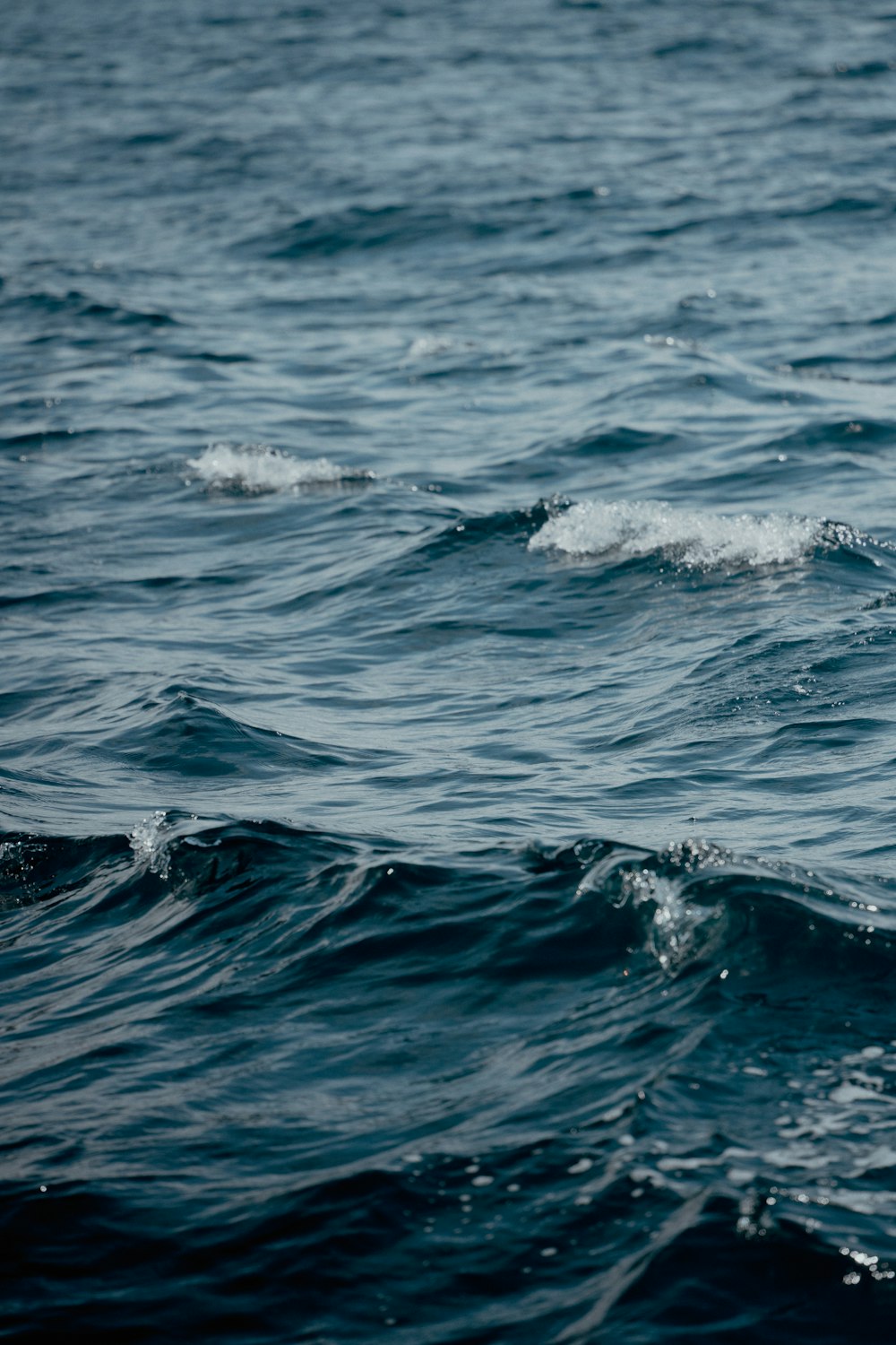 waves in the ocean