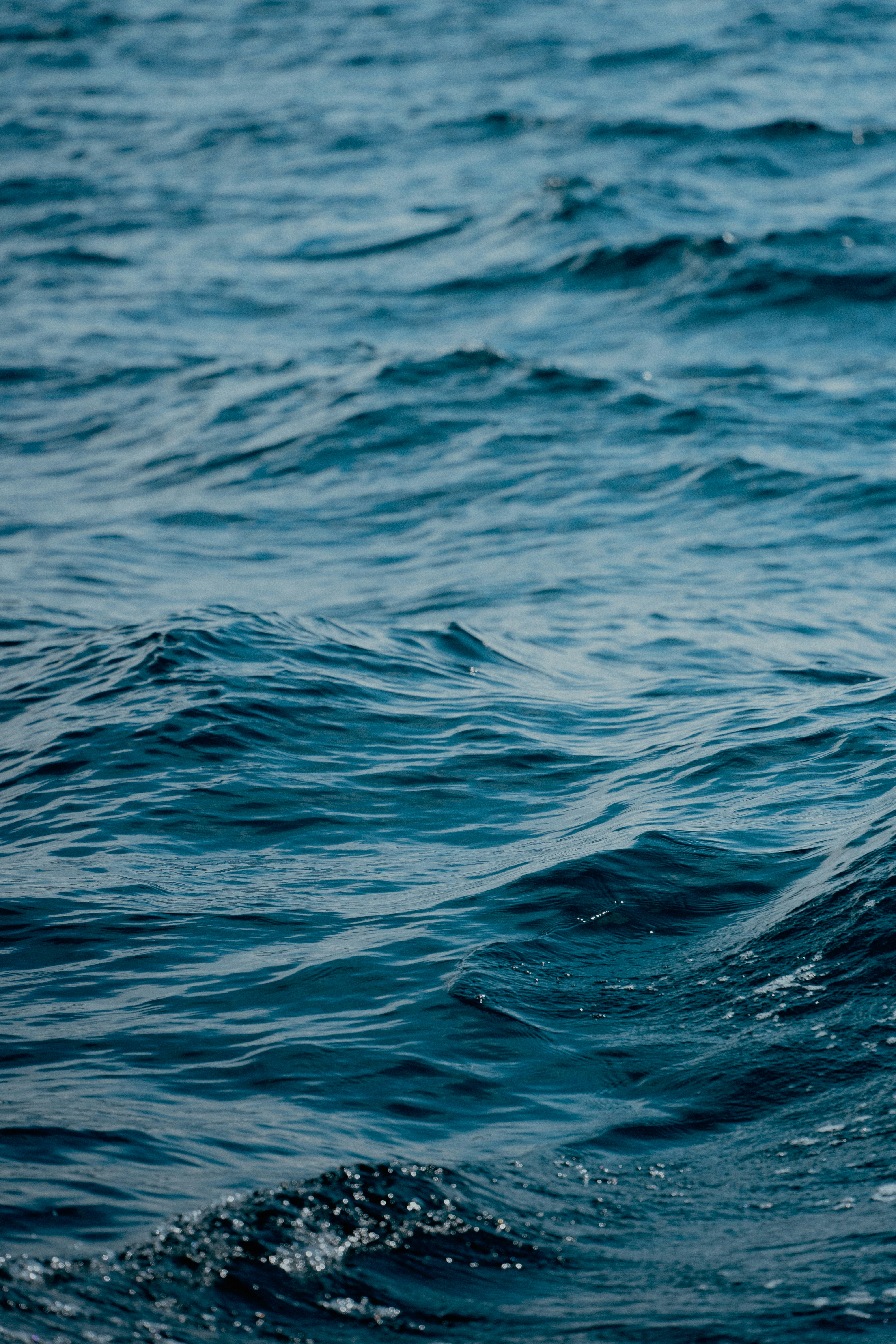 A close up of the water with a bird in the foreground photo – Free