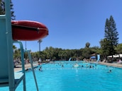 A vibrant outdoor swimming pool scene with numerous people enjoying the water. A lifeguard station is visible in the foreground with a red flotation ring attached to it. Surrounding the pool are tall palm and pine trees, creating a tropical ambience. Several people, including children and adults, are swimming, playing, and lounging by the pool. The sky is clear and blue.