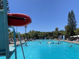 A vibrant outdoor swimming pool scene with numerous people enjoying the water. A lifeguard station is visible in the foreground with a red flotation ring attached to it. Surrounding the pool are tall palm and pine trees, creating a tropical ambience. Several people, including children and adults, are swimming, playing, and lounging by the pool. The sky is clear and blue.