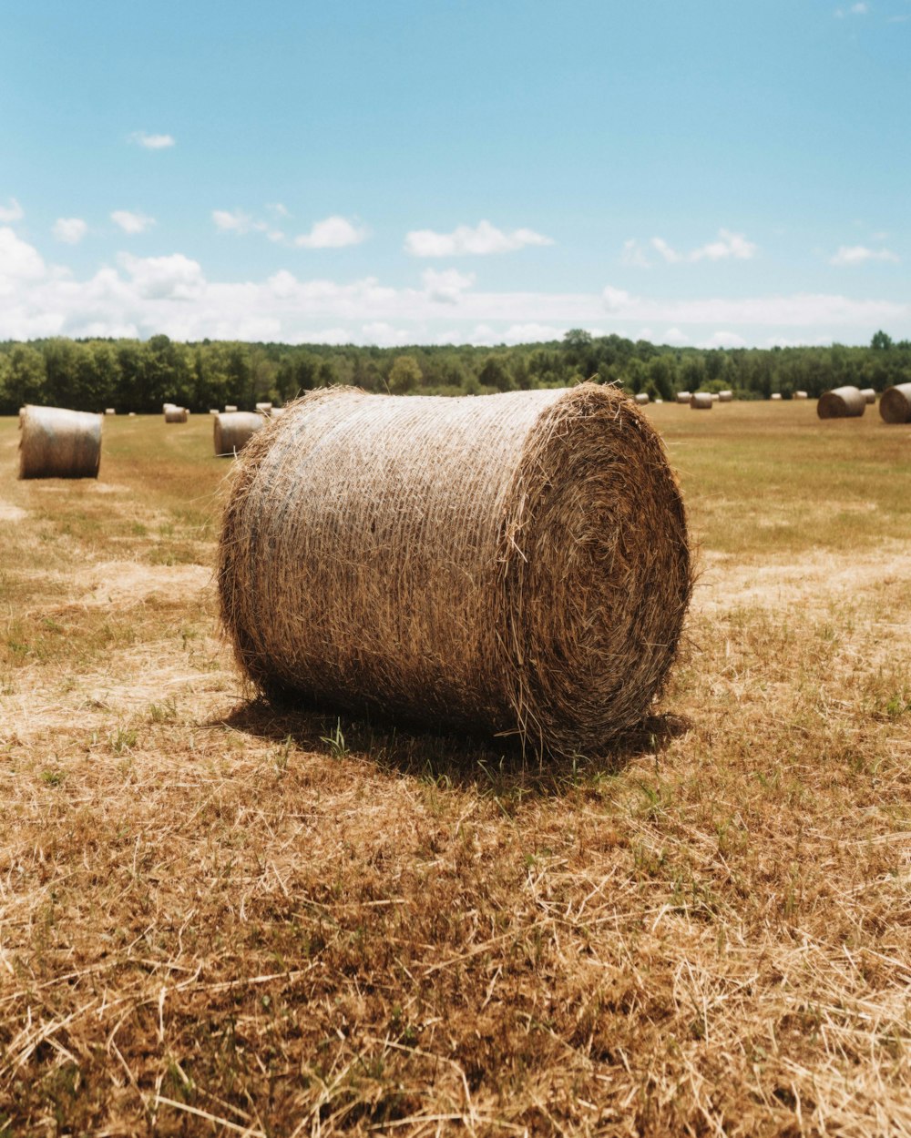 a group of bales of hay in a field