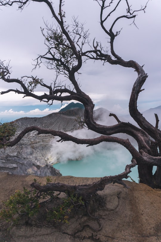 None in Ijen Indonesia