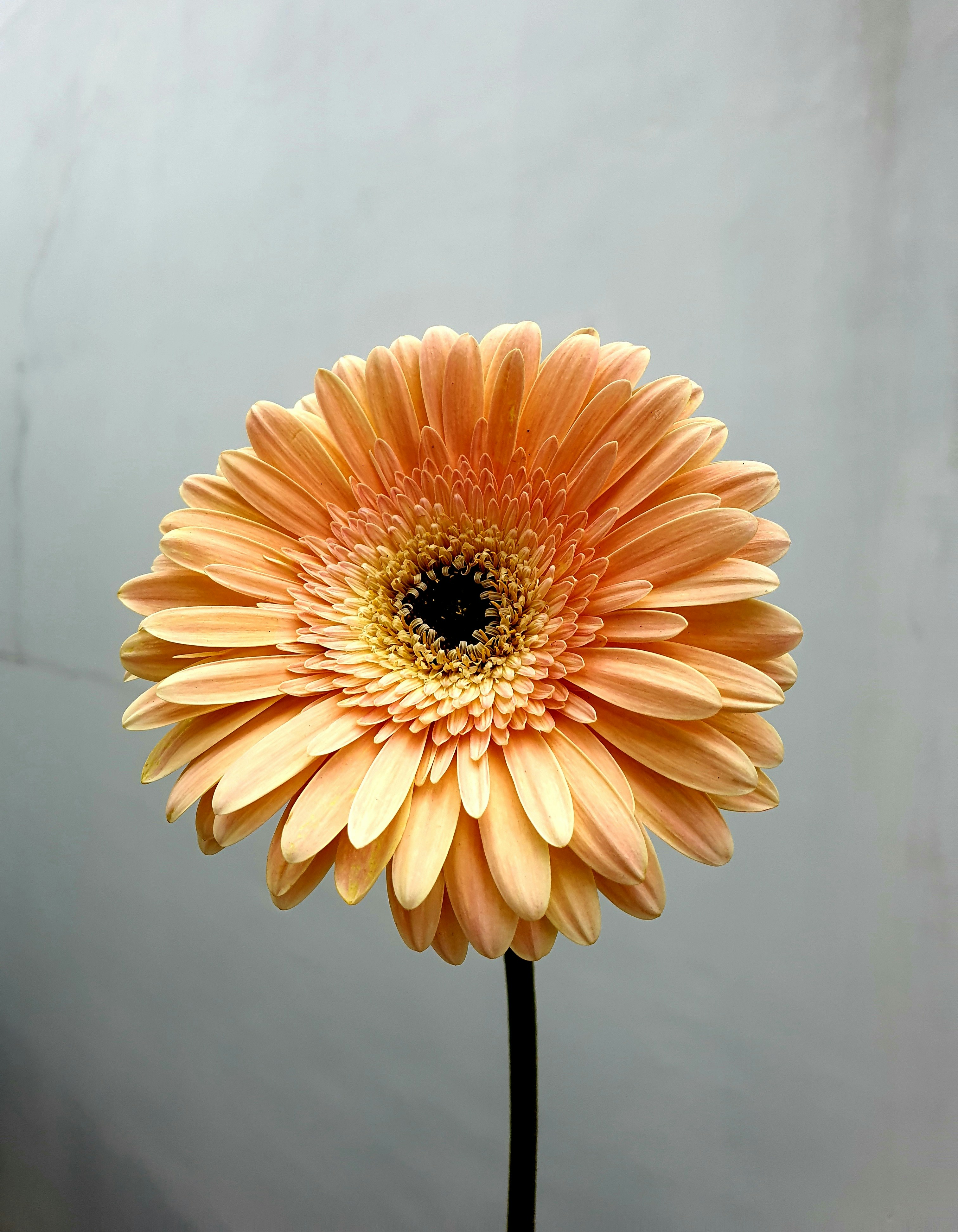 Photo by dhriti_das007