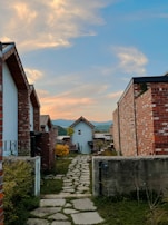 Pathway through Yaxcabá village showing the natural surroundings and cultural heritage.