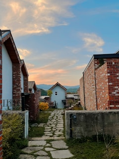Pathway through Yaxcabá village showing the natural surroundings and cultural heritage.