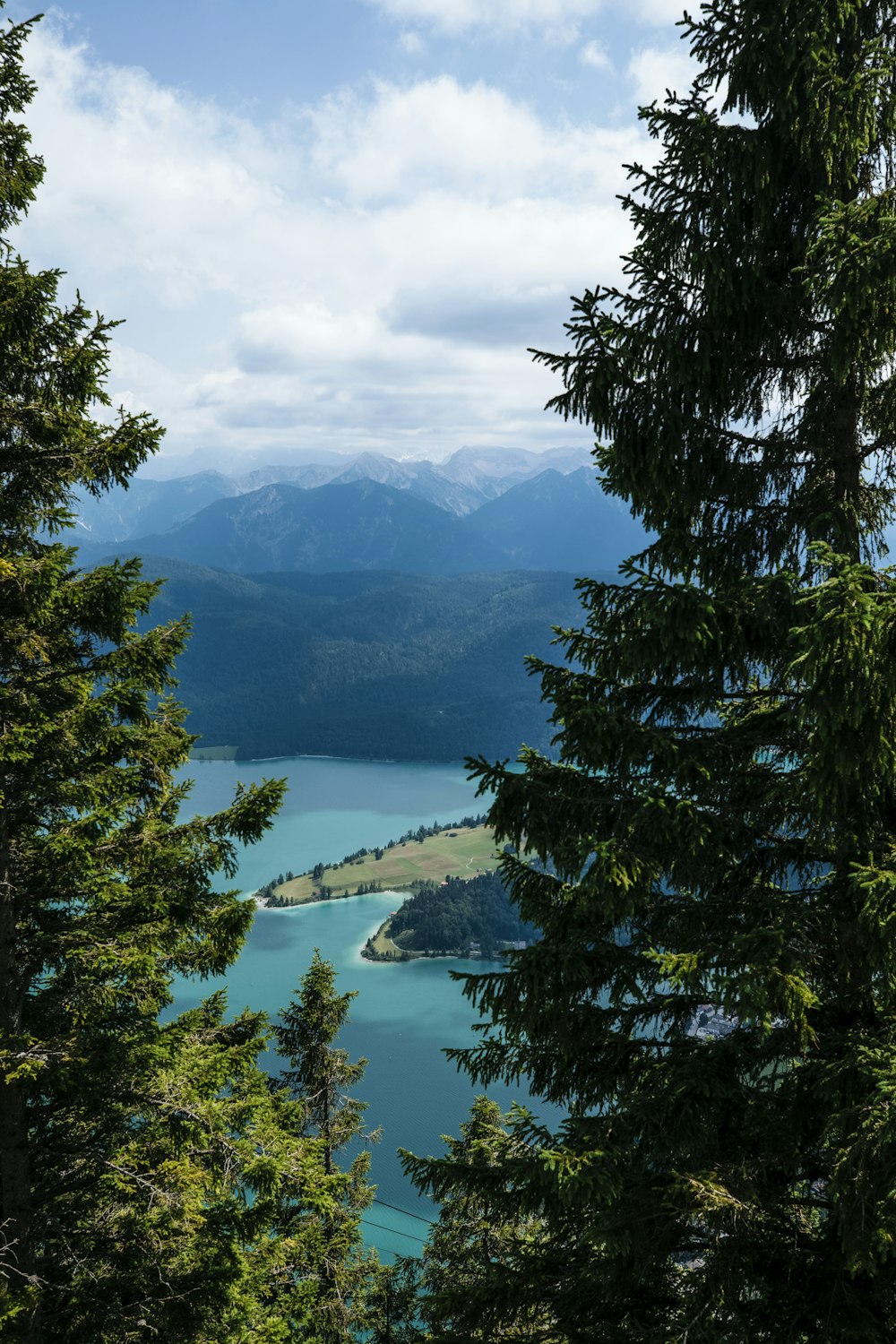 a lake surrounded by trees