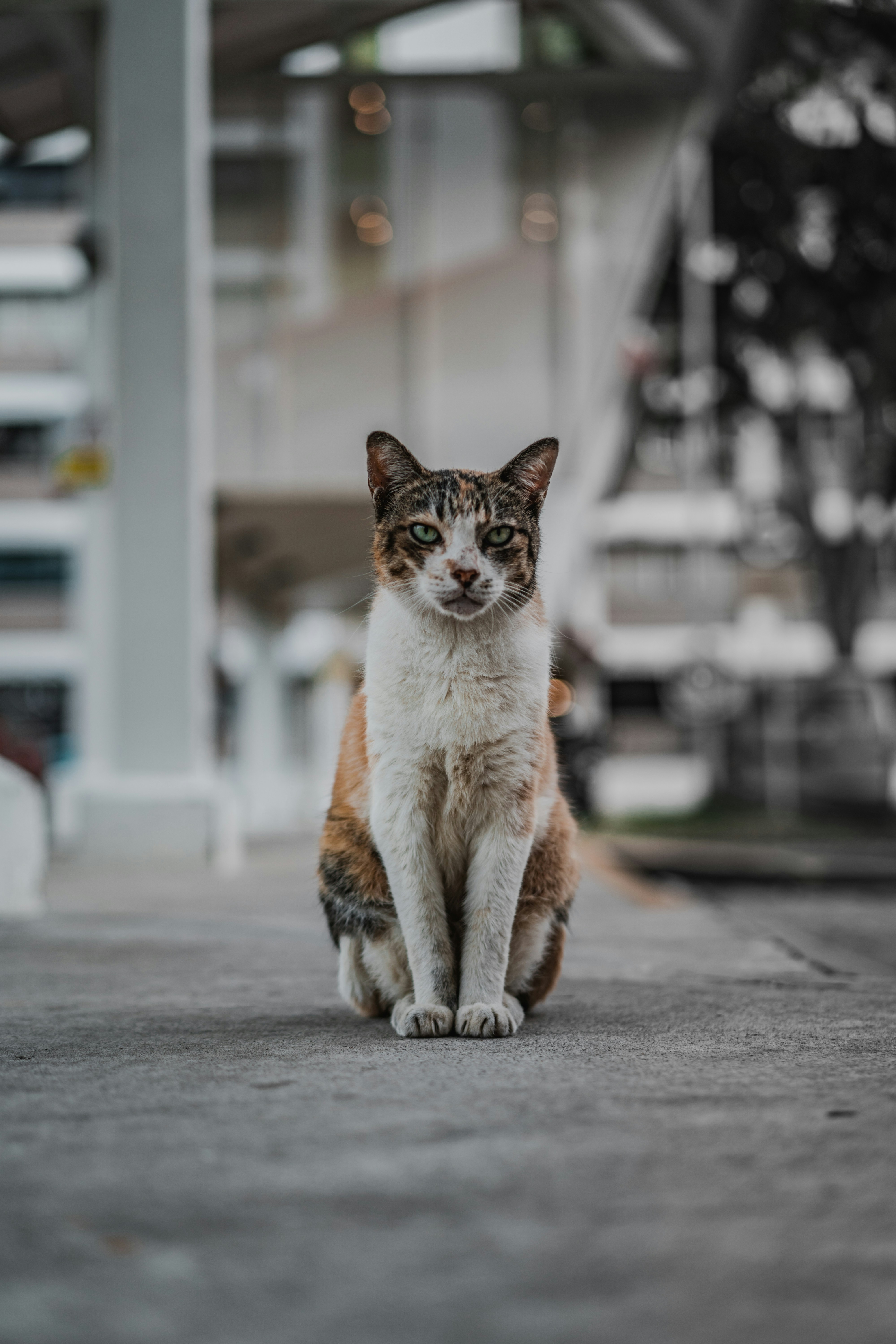 Photo by winstontjia