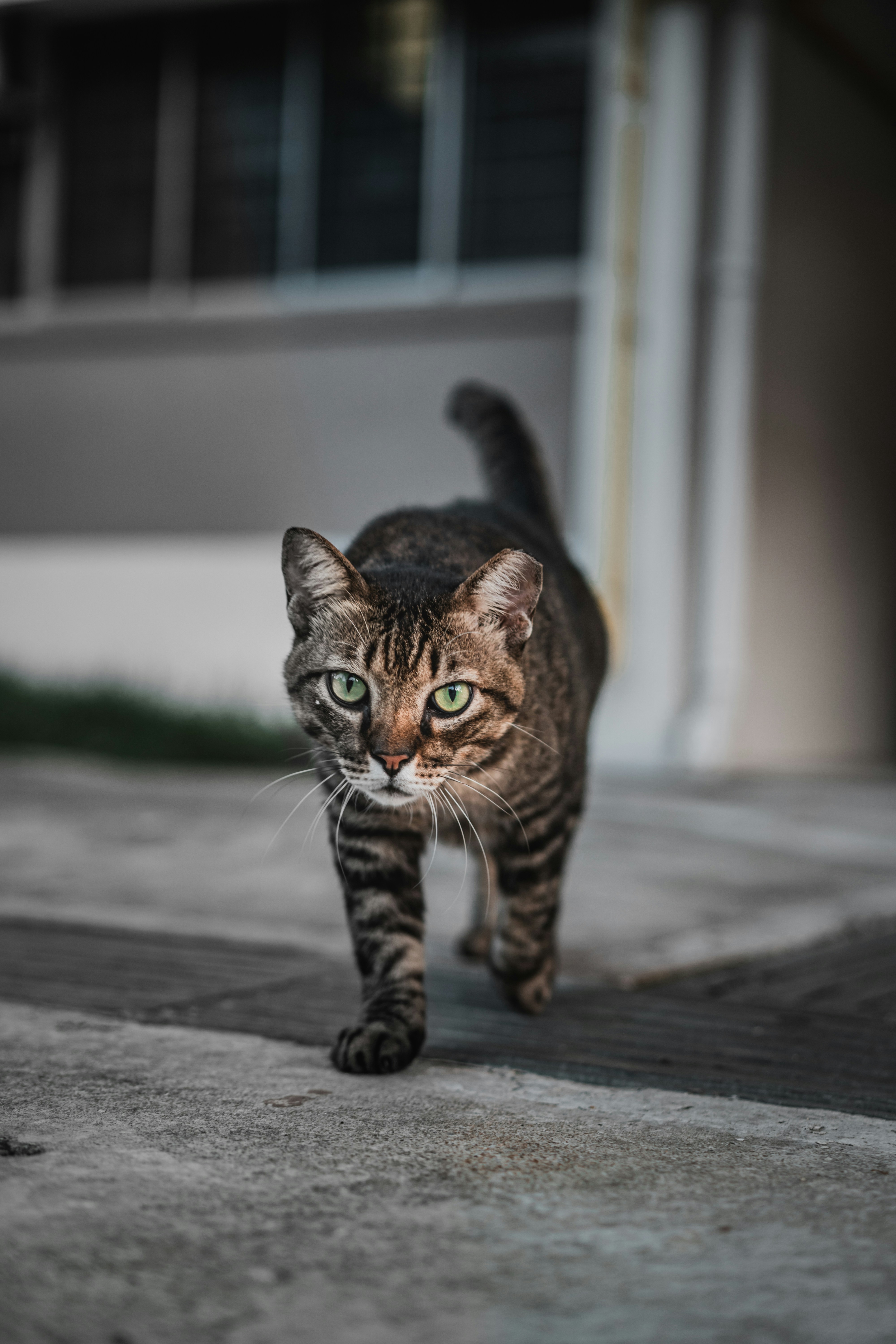 Photo by winstontjia