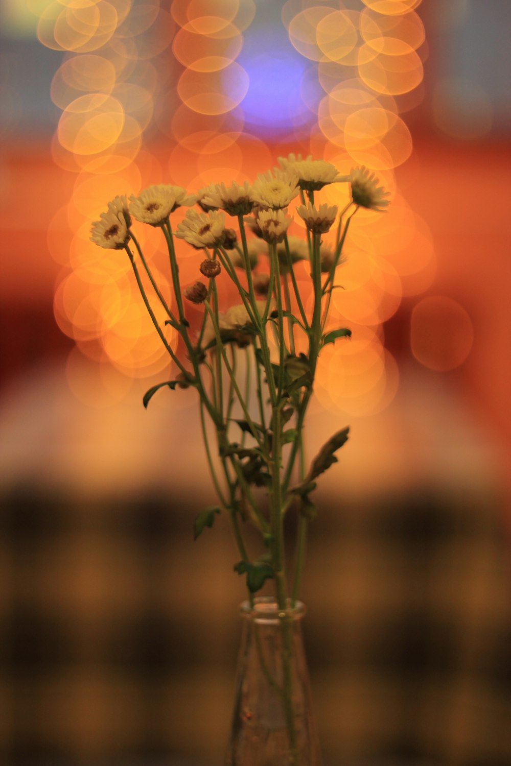 a vase with white flowers