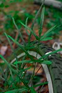 Llantas Ecológicas