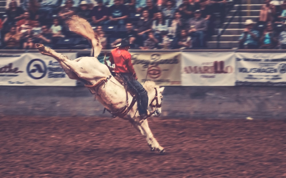 a man riding a horse in a rodeo