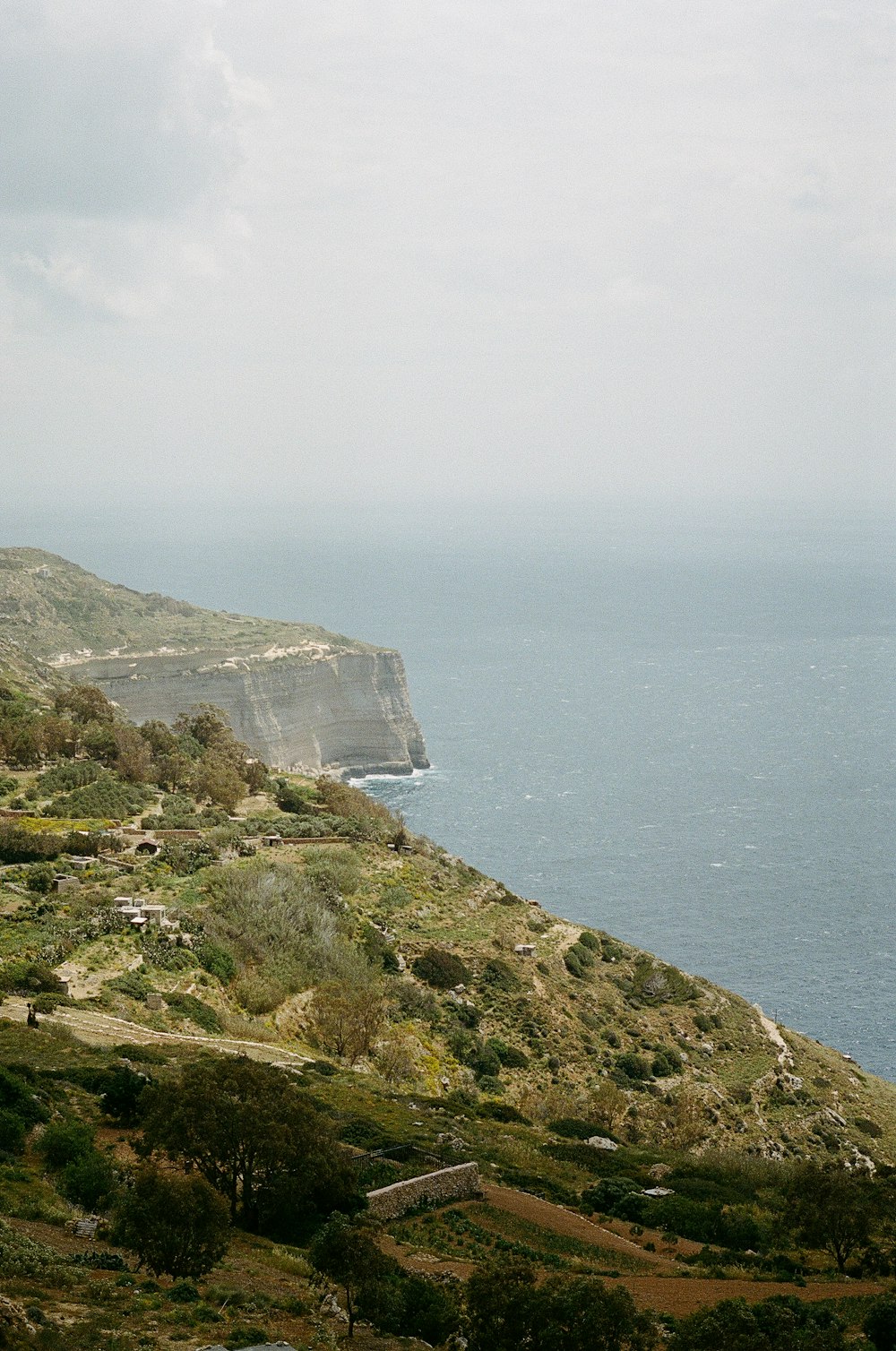 a landscape with trees and a body of water in the background