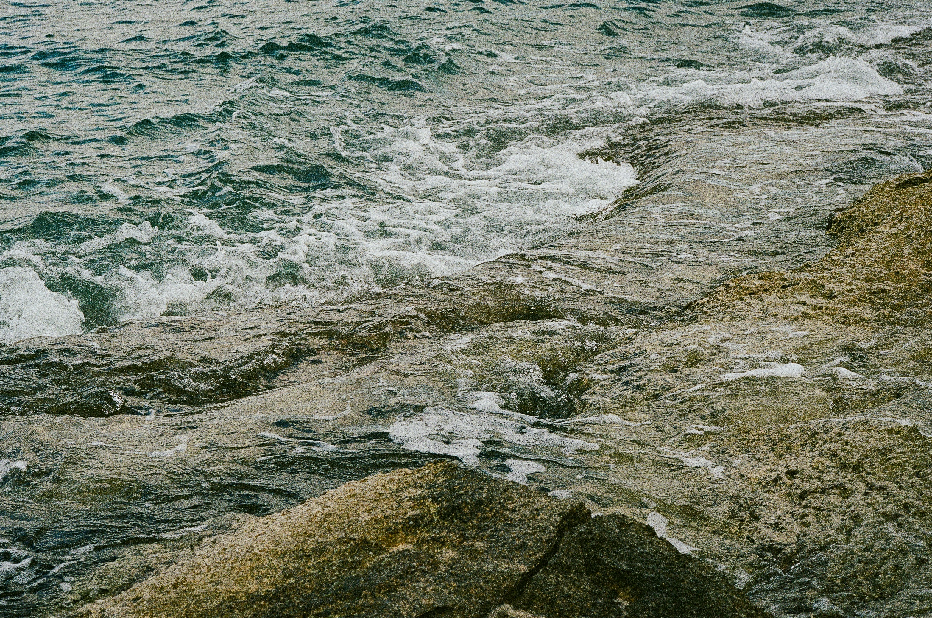 Photo by joanacabreu