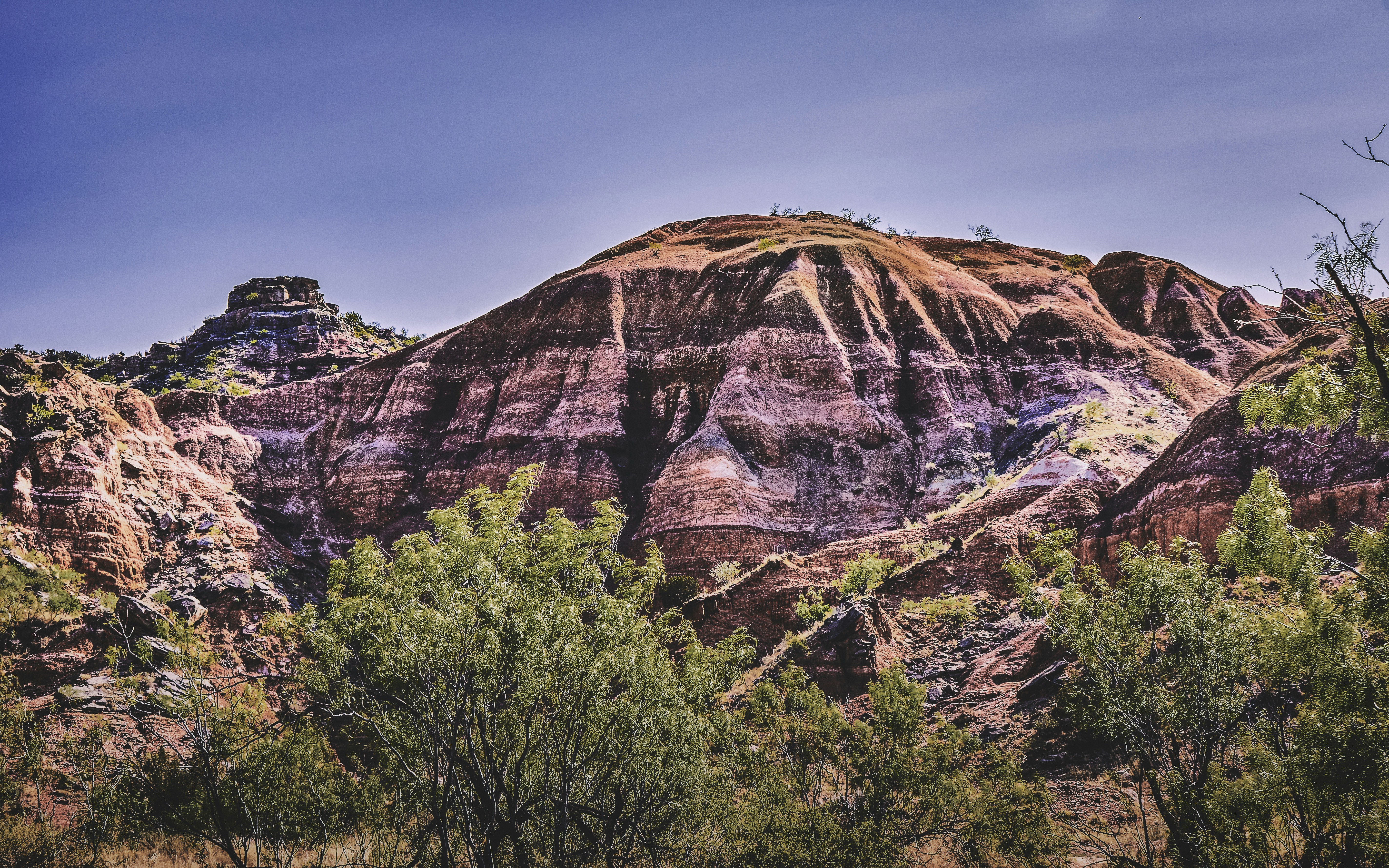 a rocky mountain with trees