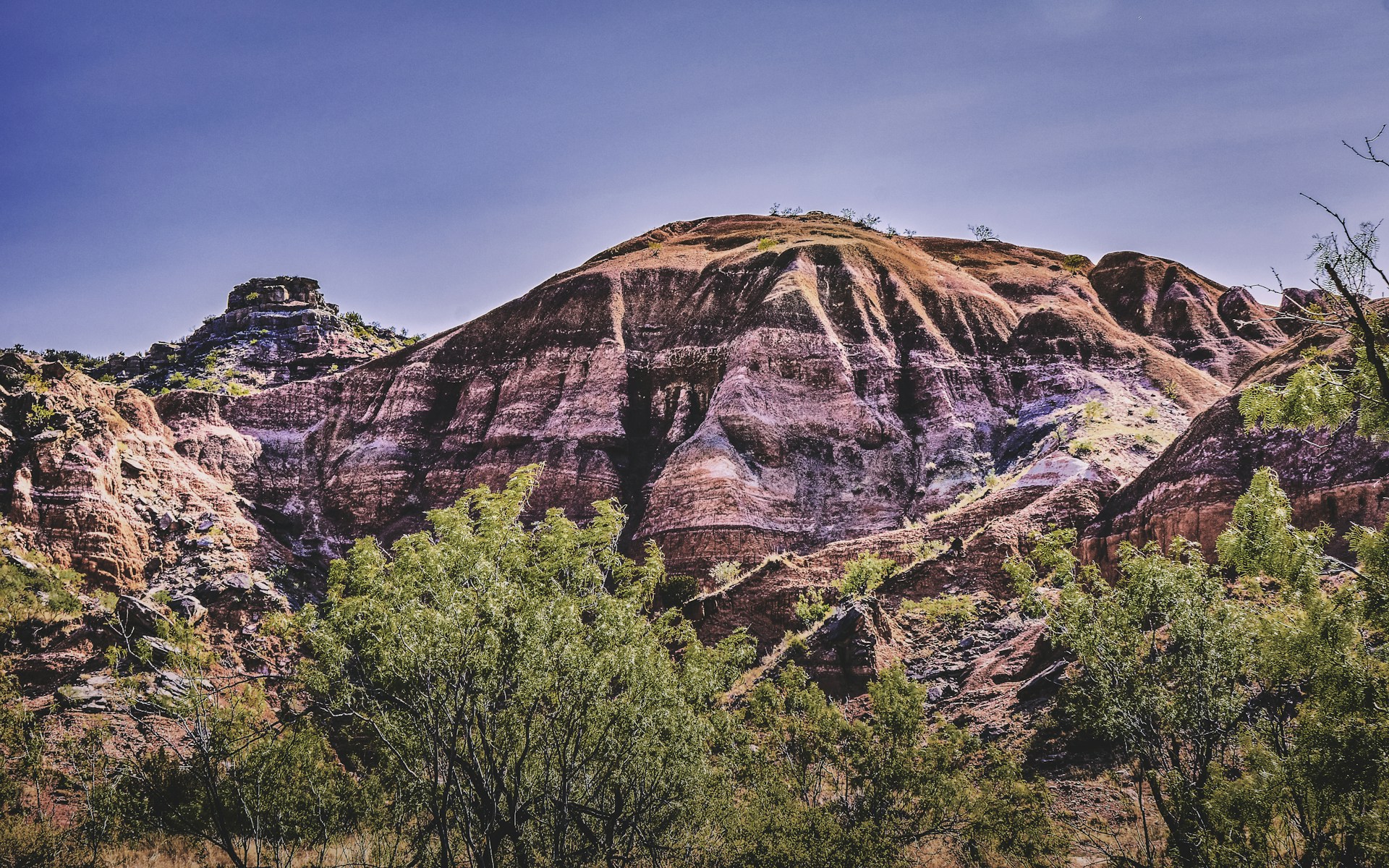 a rocky mountain with trees