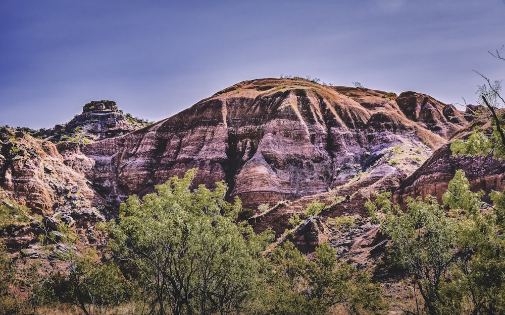 a rocky mountain with trees