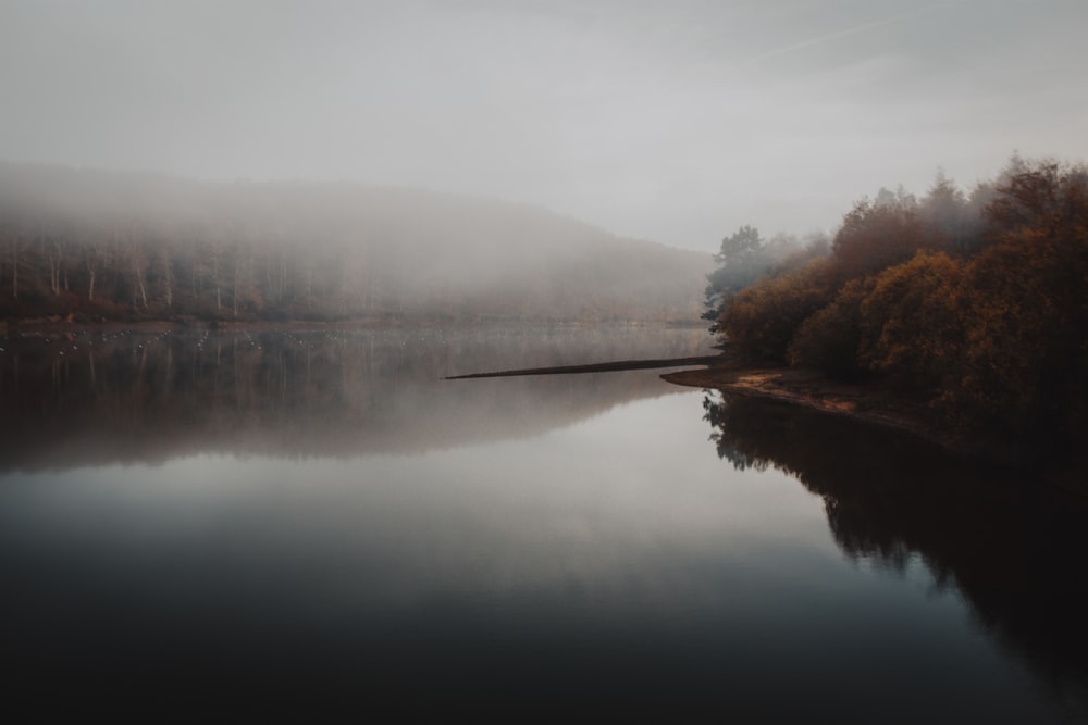 a body of water with trees around it