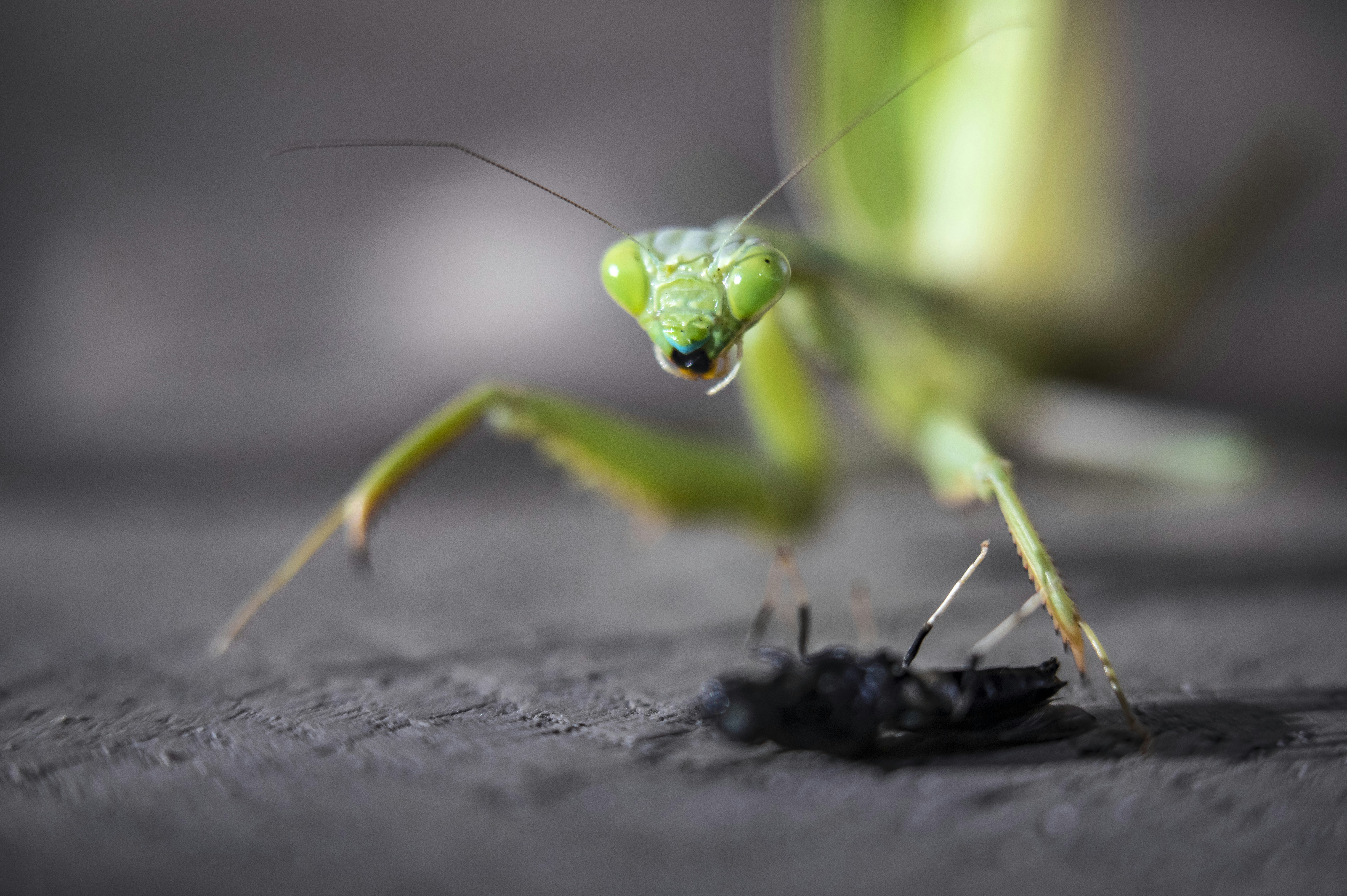 Photo by leo_visions_