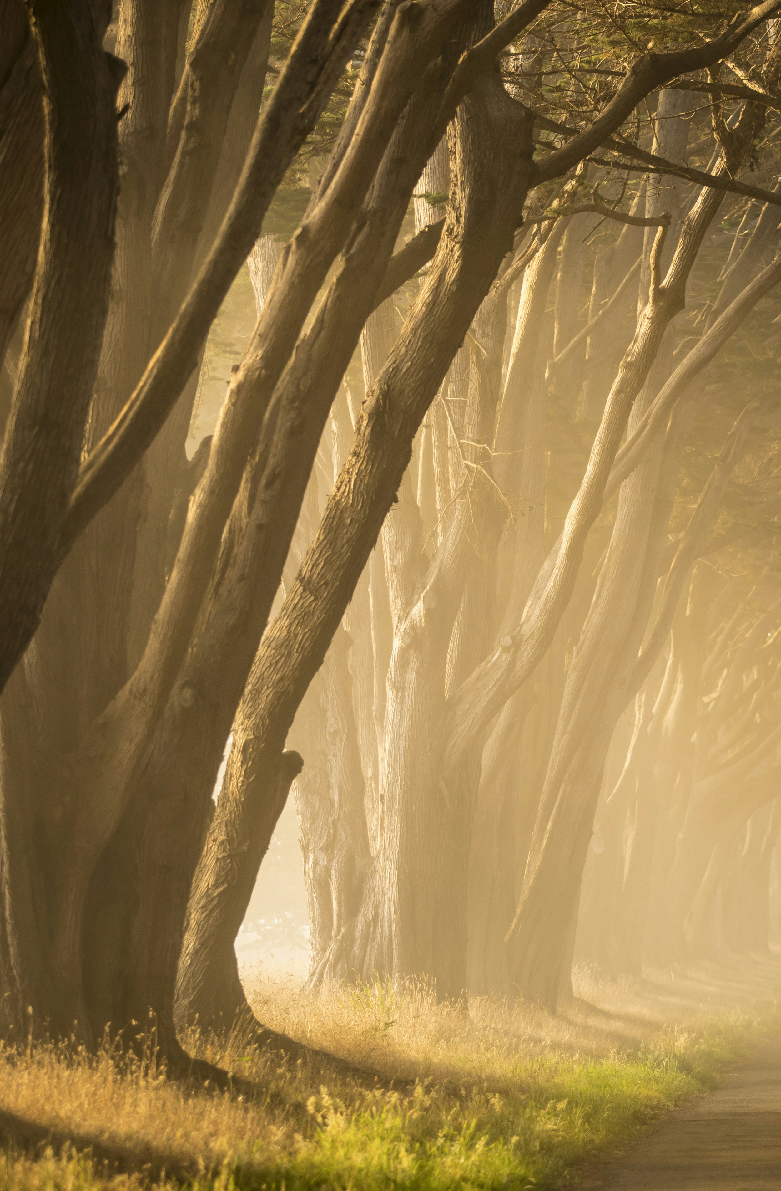 Photo by leo_visions_