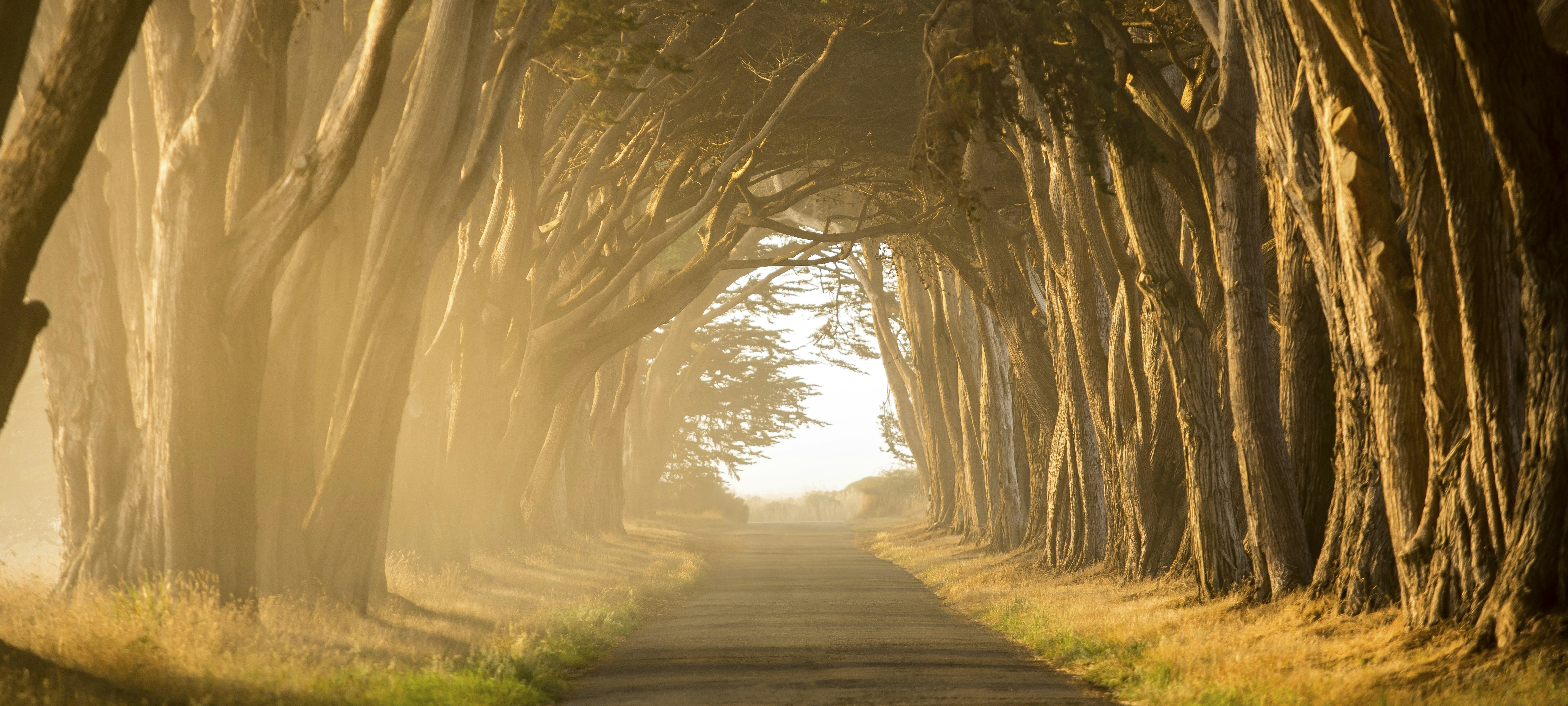 Photo by leo_visions_