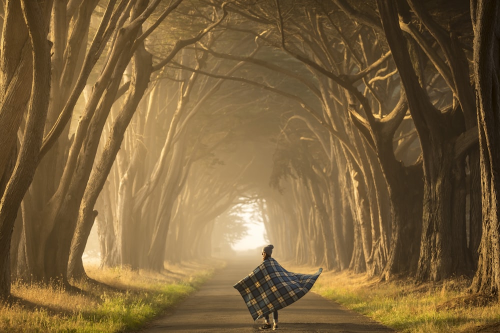 a person walking on a path in a forest