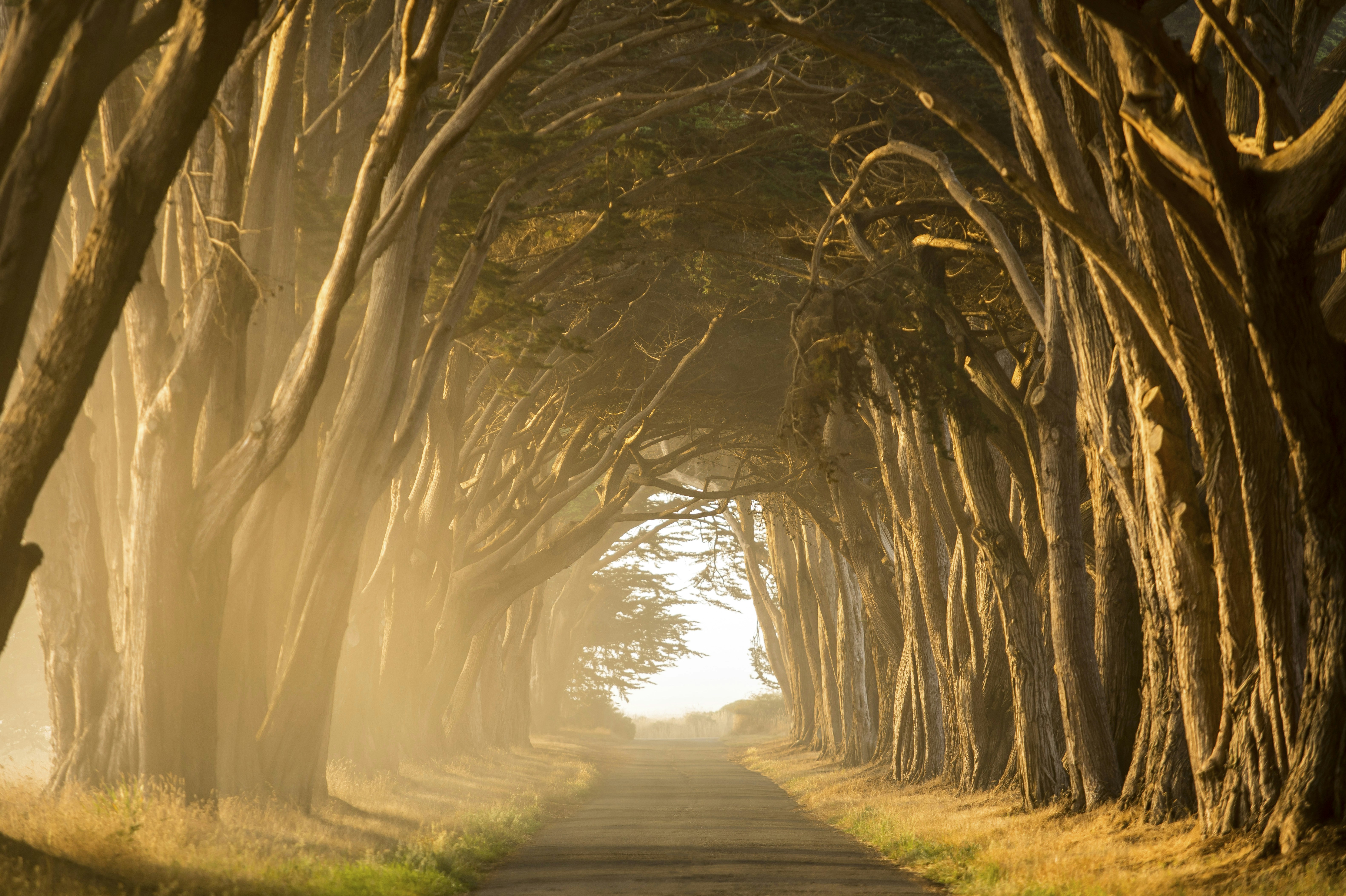 Photo by leo_visions_