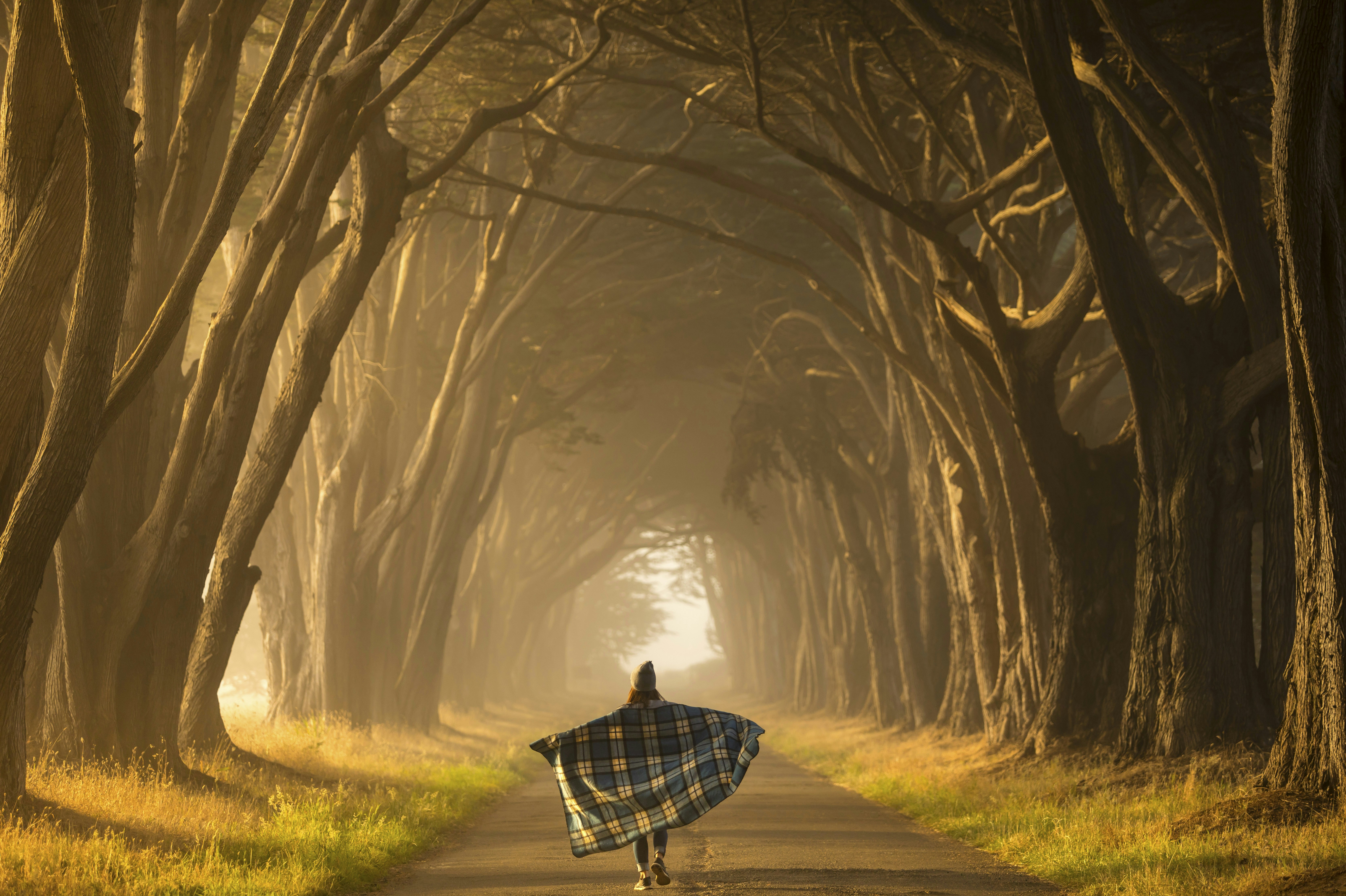 a person walking down a path in a forest