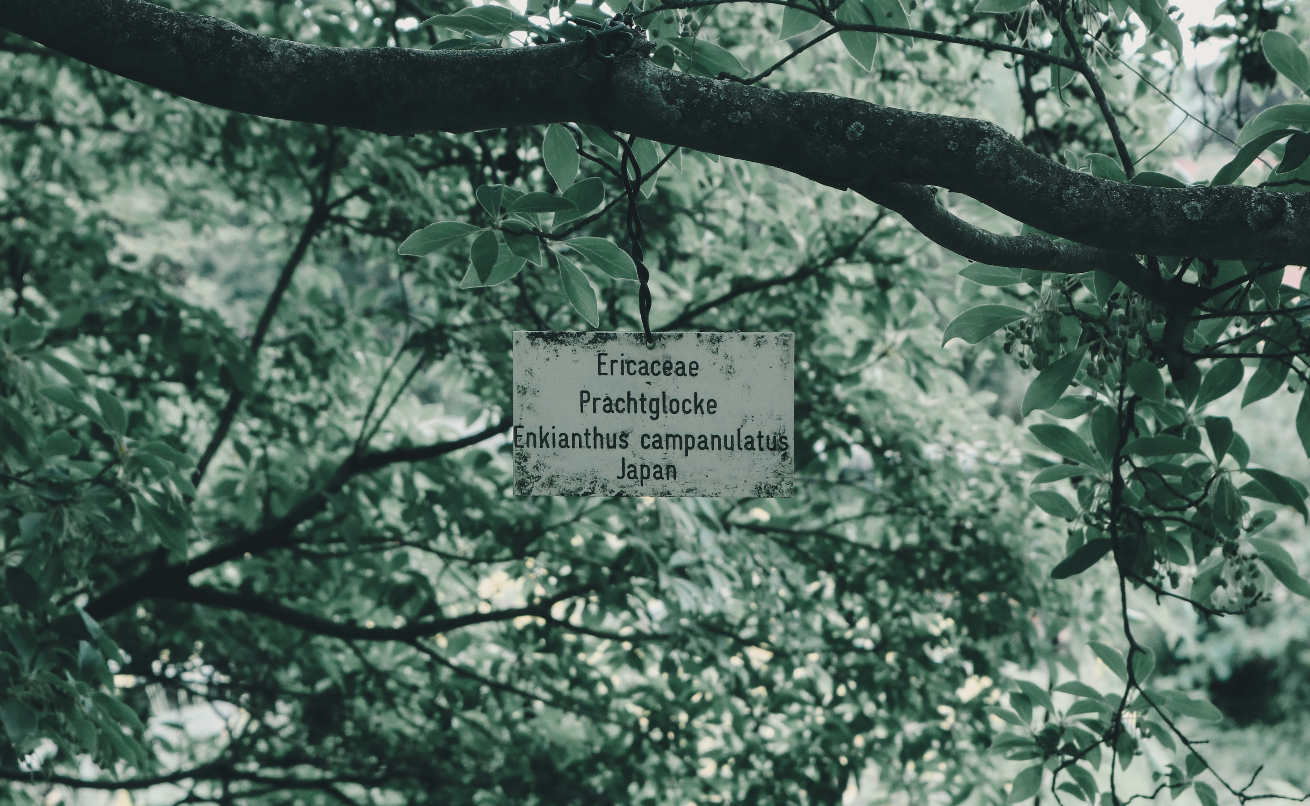 Photo by leakatharinafr