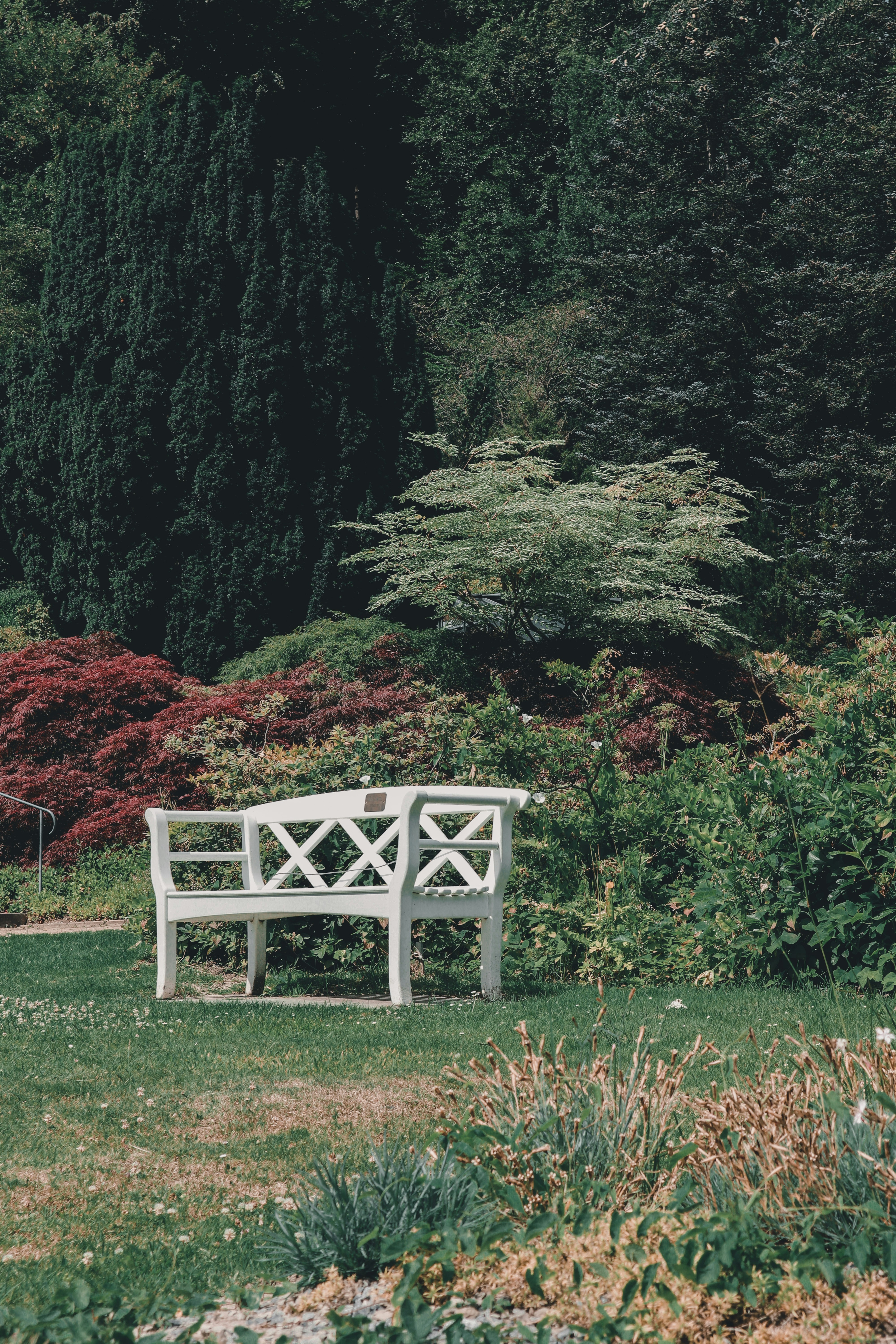 Photo by leakatharinafr