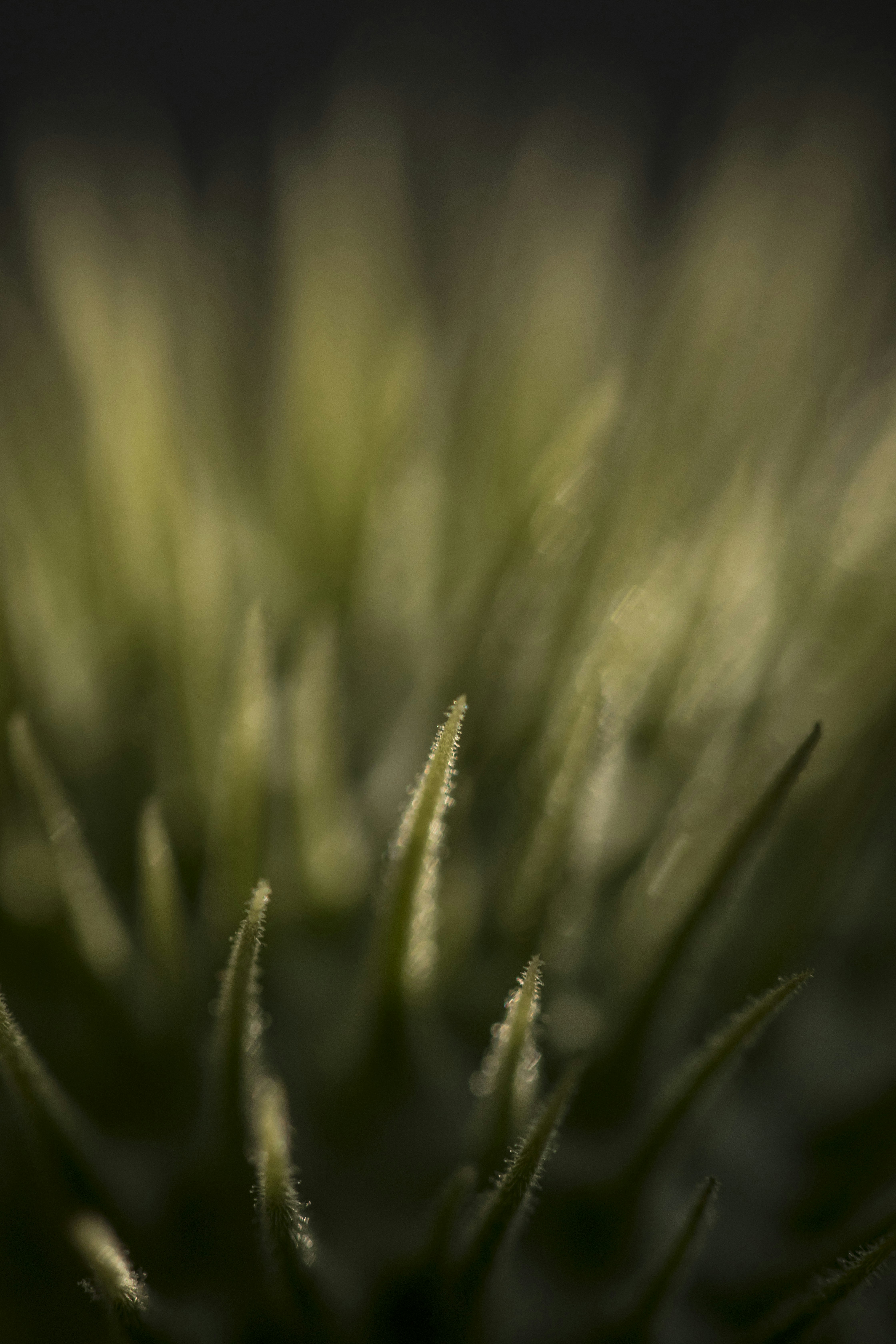 Photo by leo_visions_