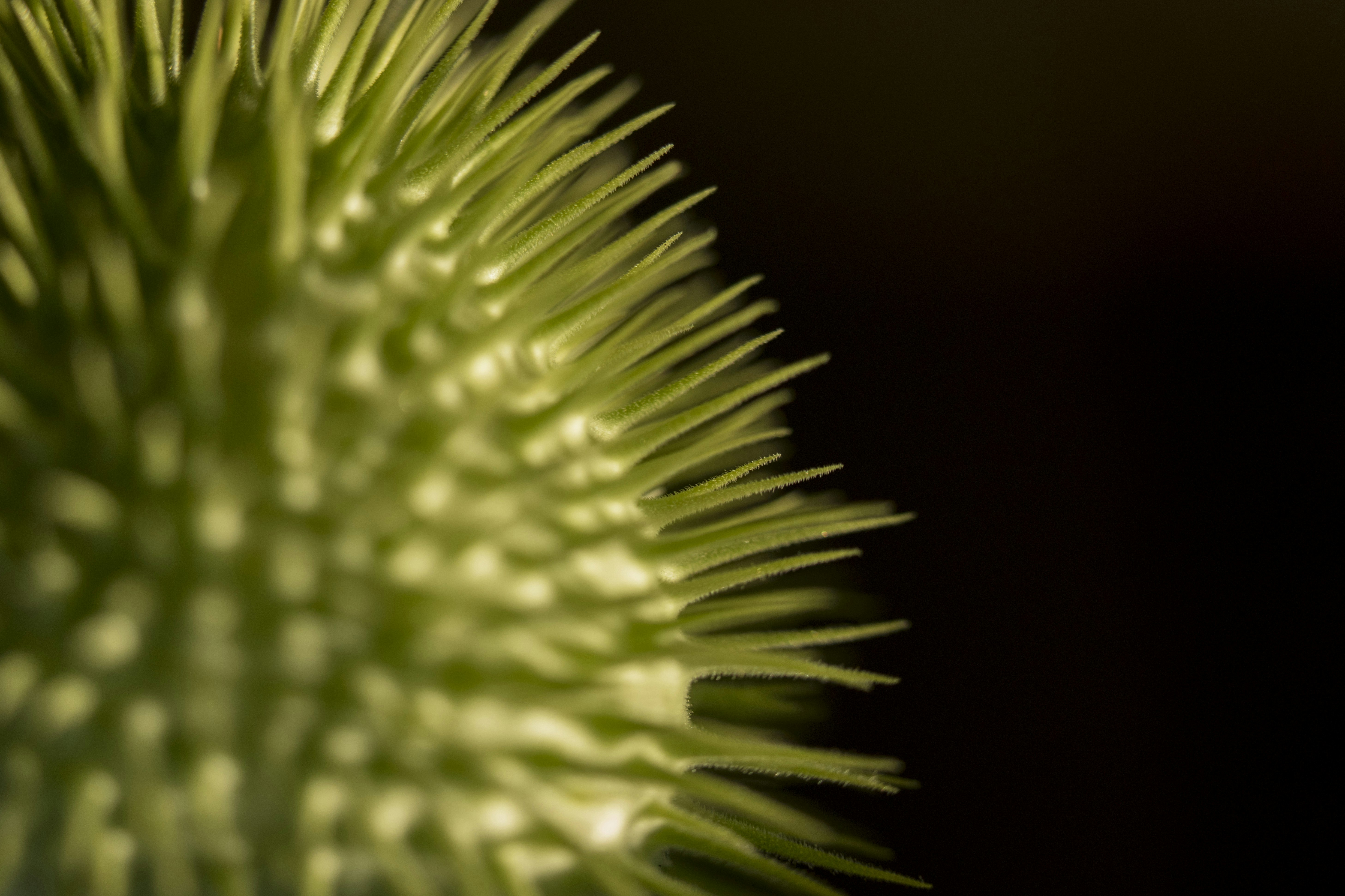 Photo by leo_visions_