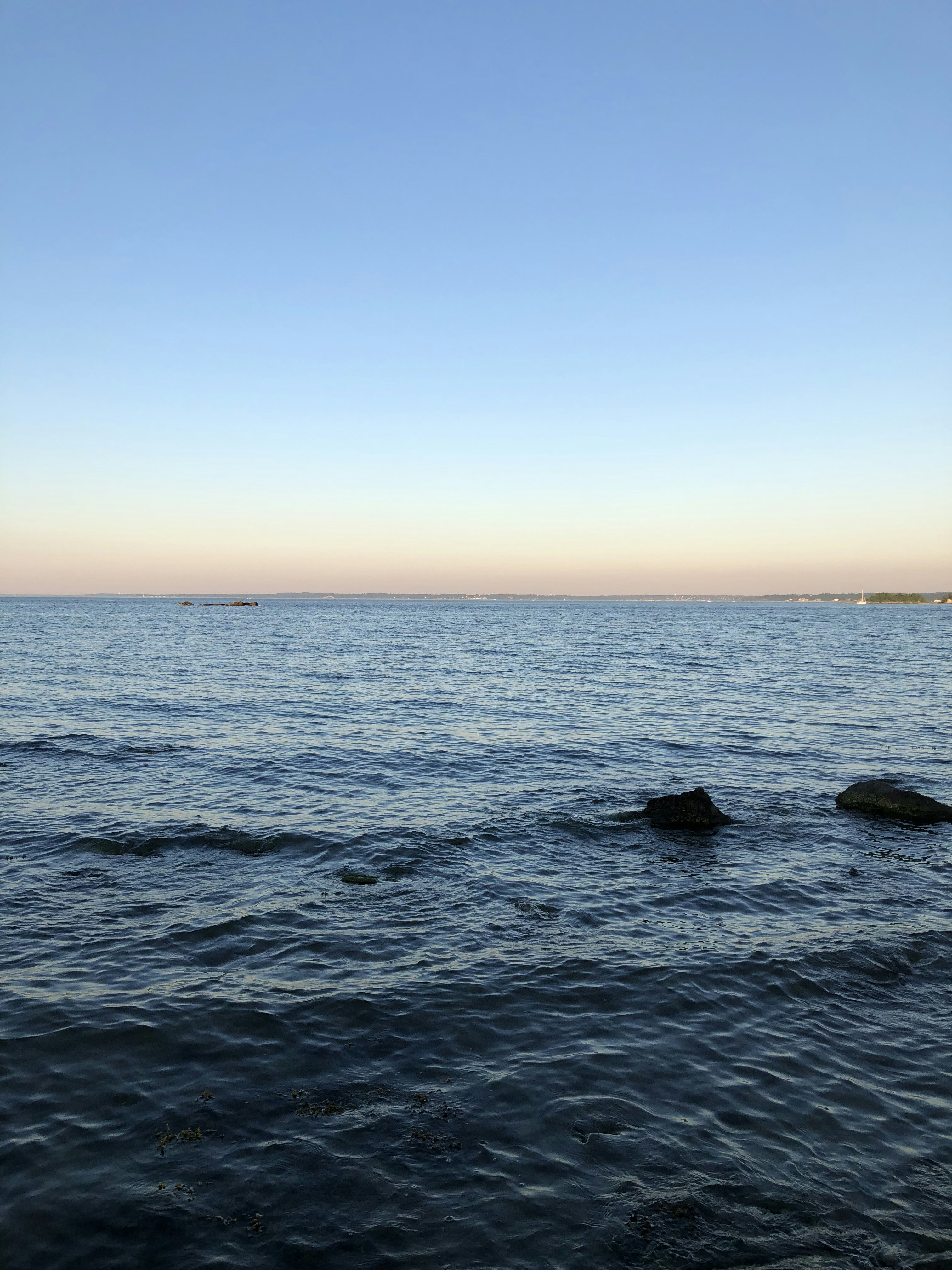 Photo by manav_kumar0954