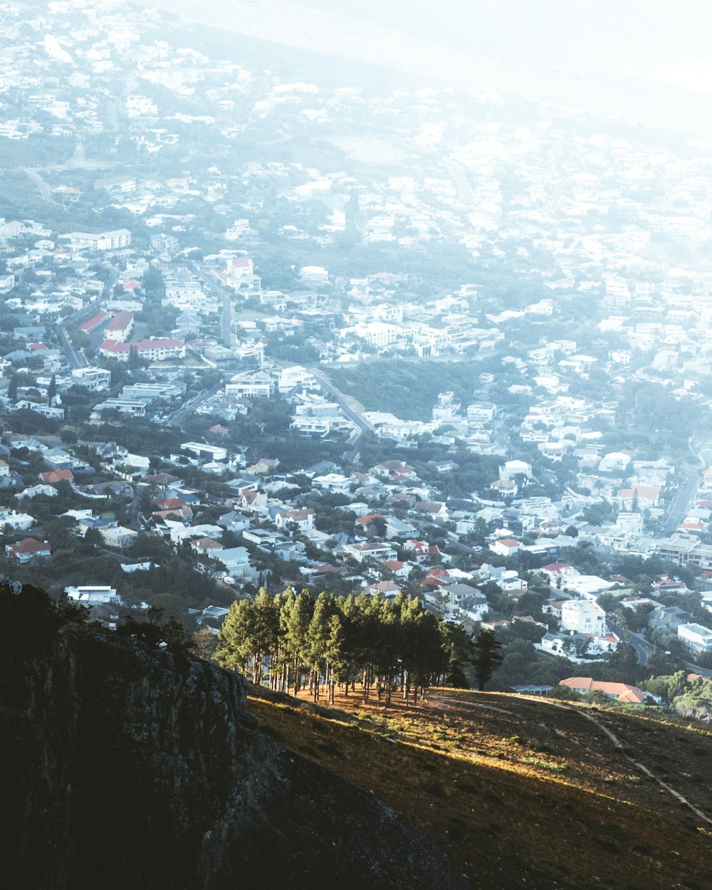 a city seen from a high elevation