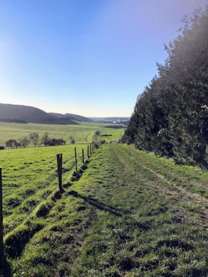 a fenced in field with a fence and trees and hills in the background